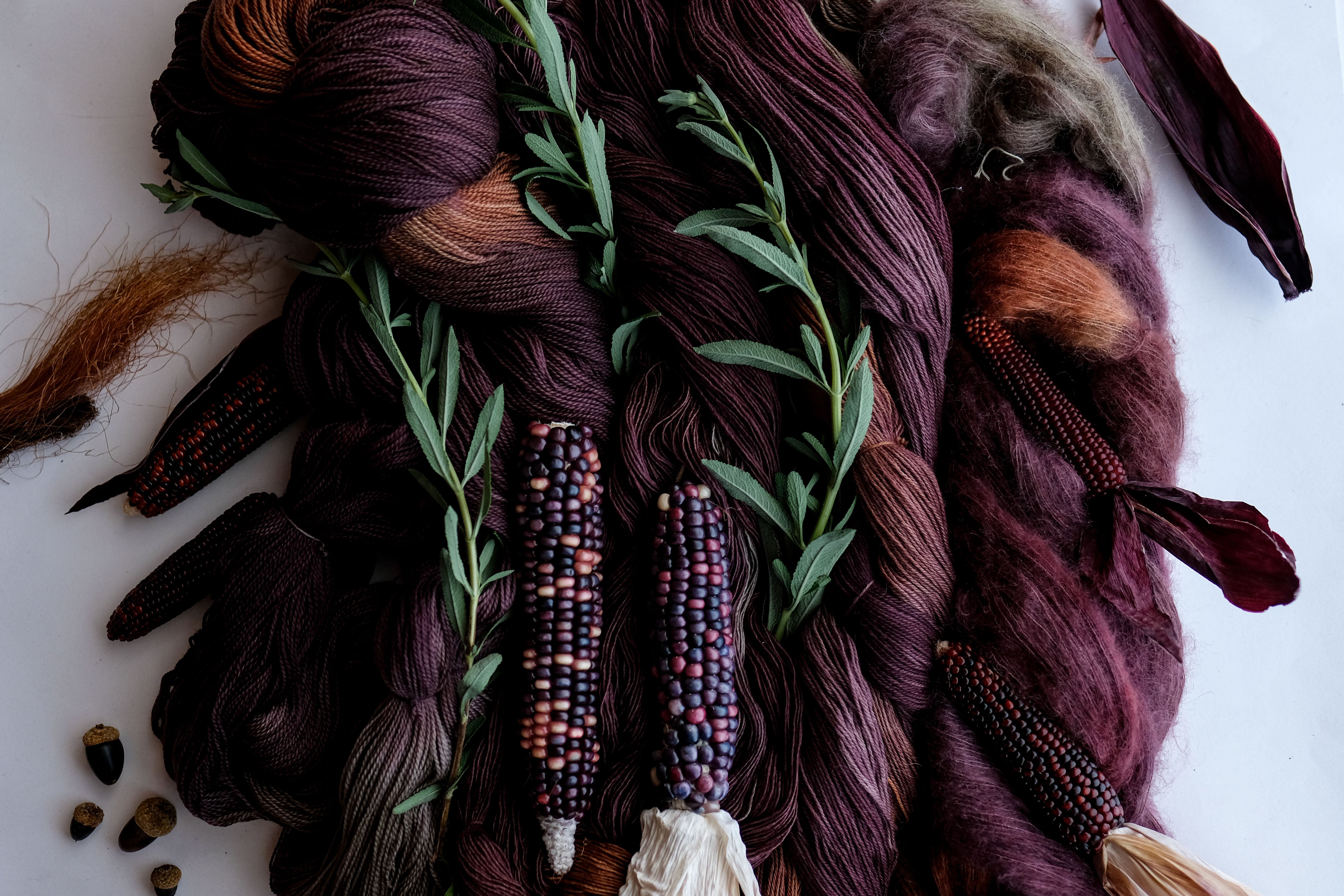 Autumn 2024: Abundant Harvest, Deepening Shadows