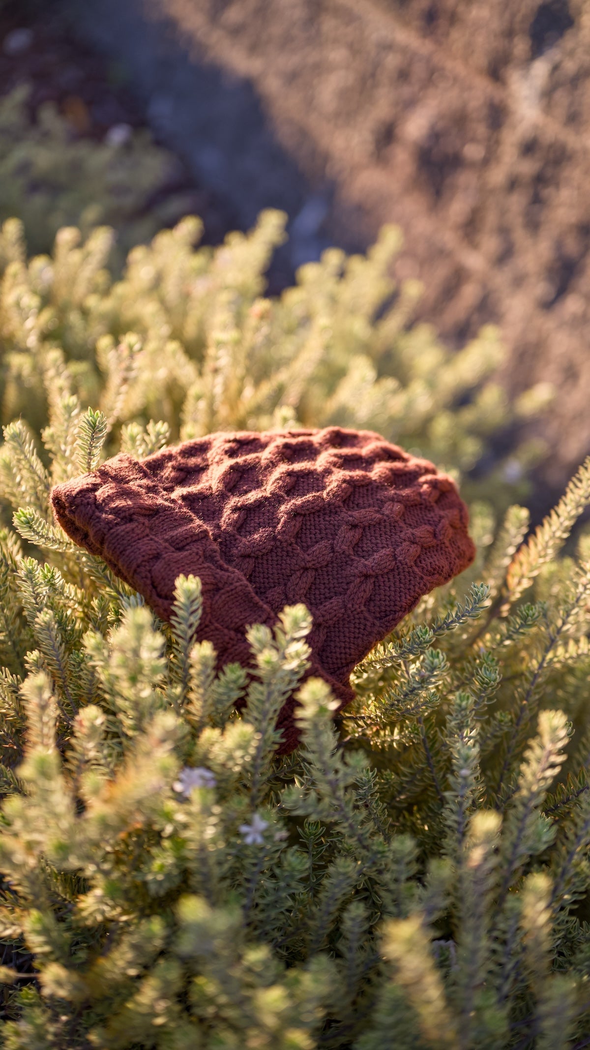 Tubers by Tiffany Chen // textured cables knit in soft Pretzel!