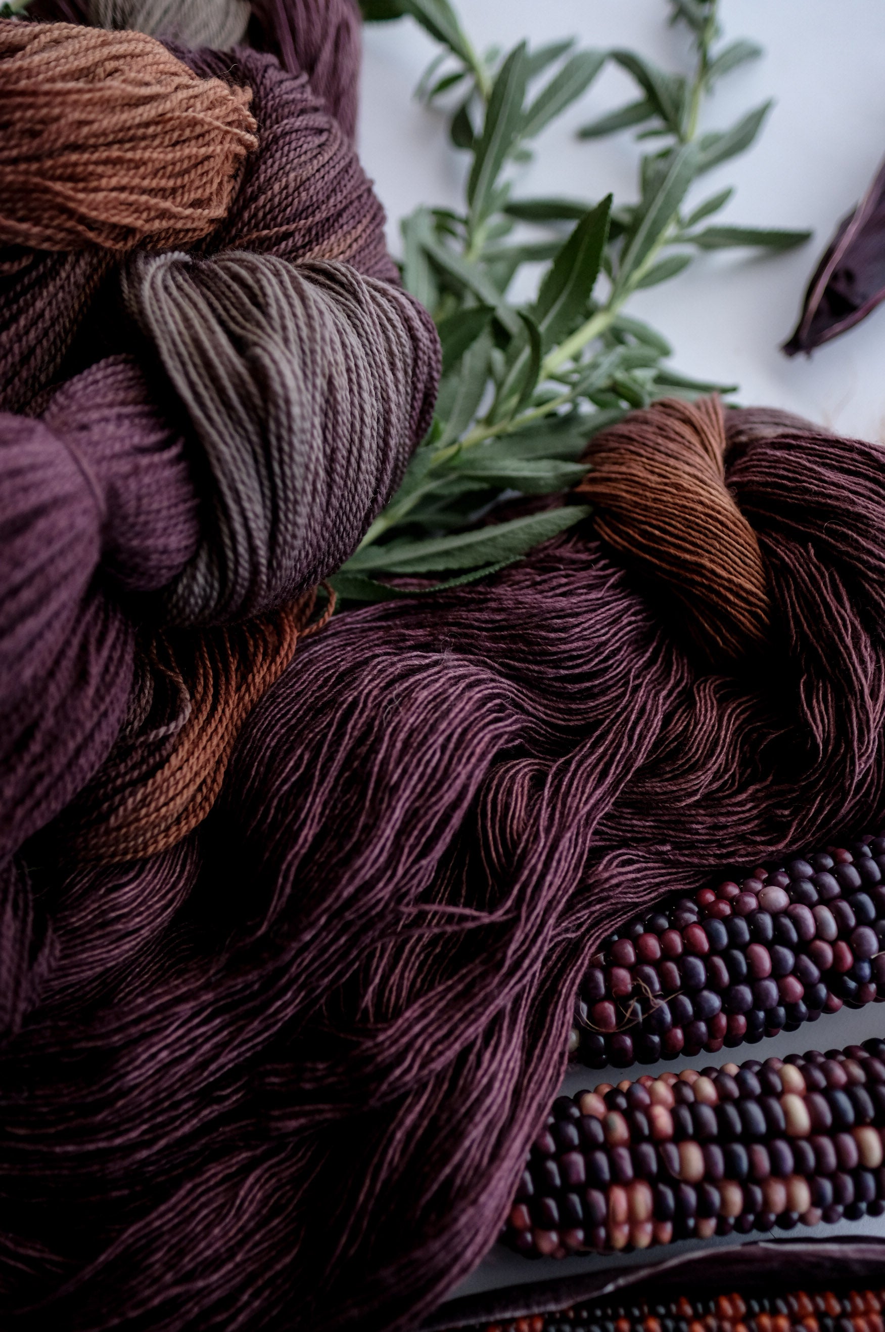 2024 Verb Anniversary Color: Abundant Harvest, Deepening Shadows