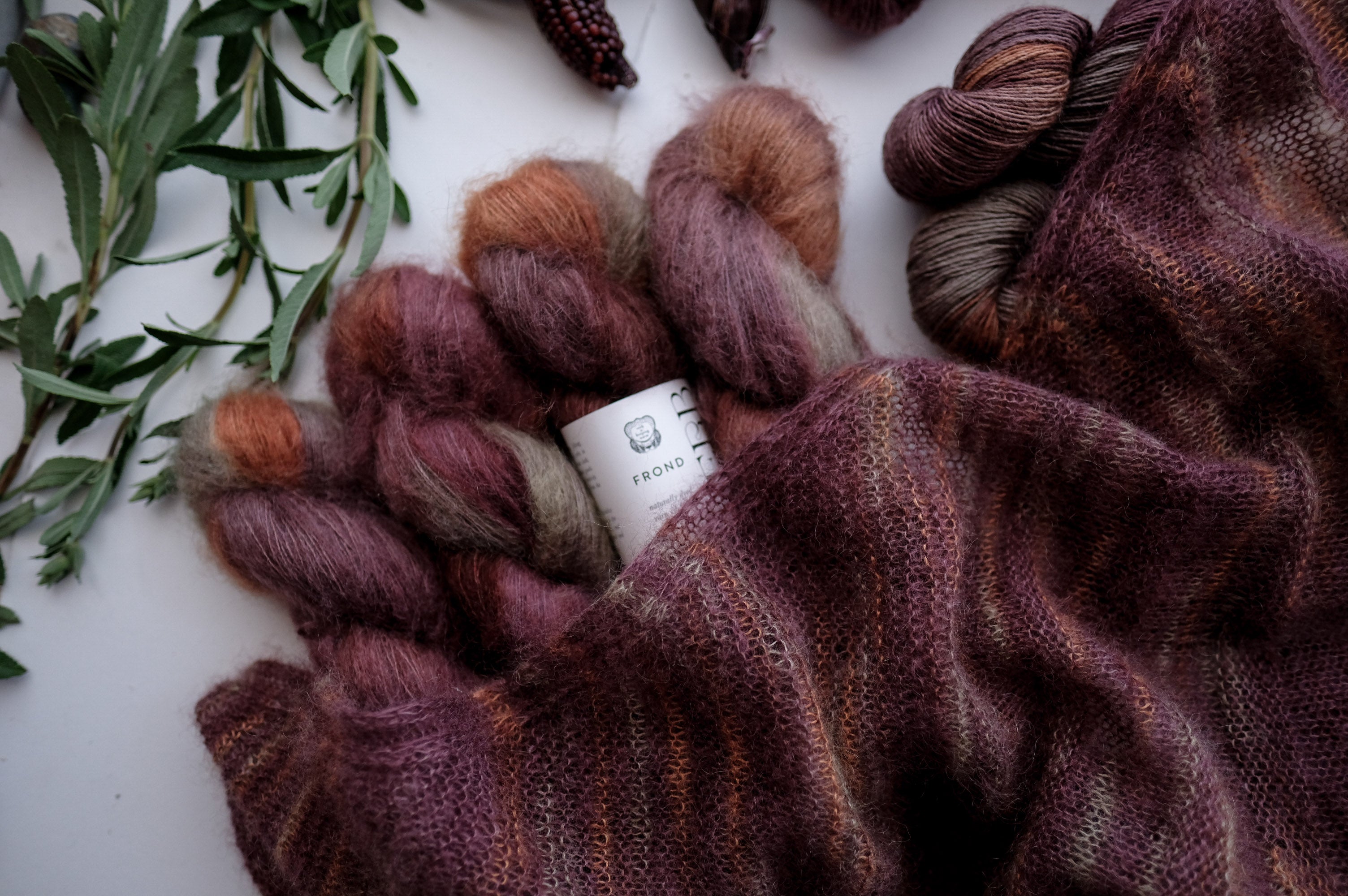 2024 Verb Anniversary Color: Abundant Harvest, Deepening Shadows