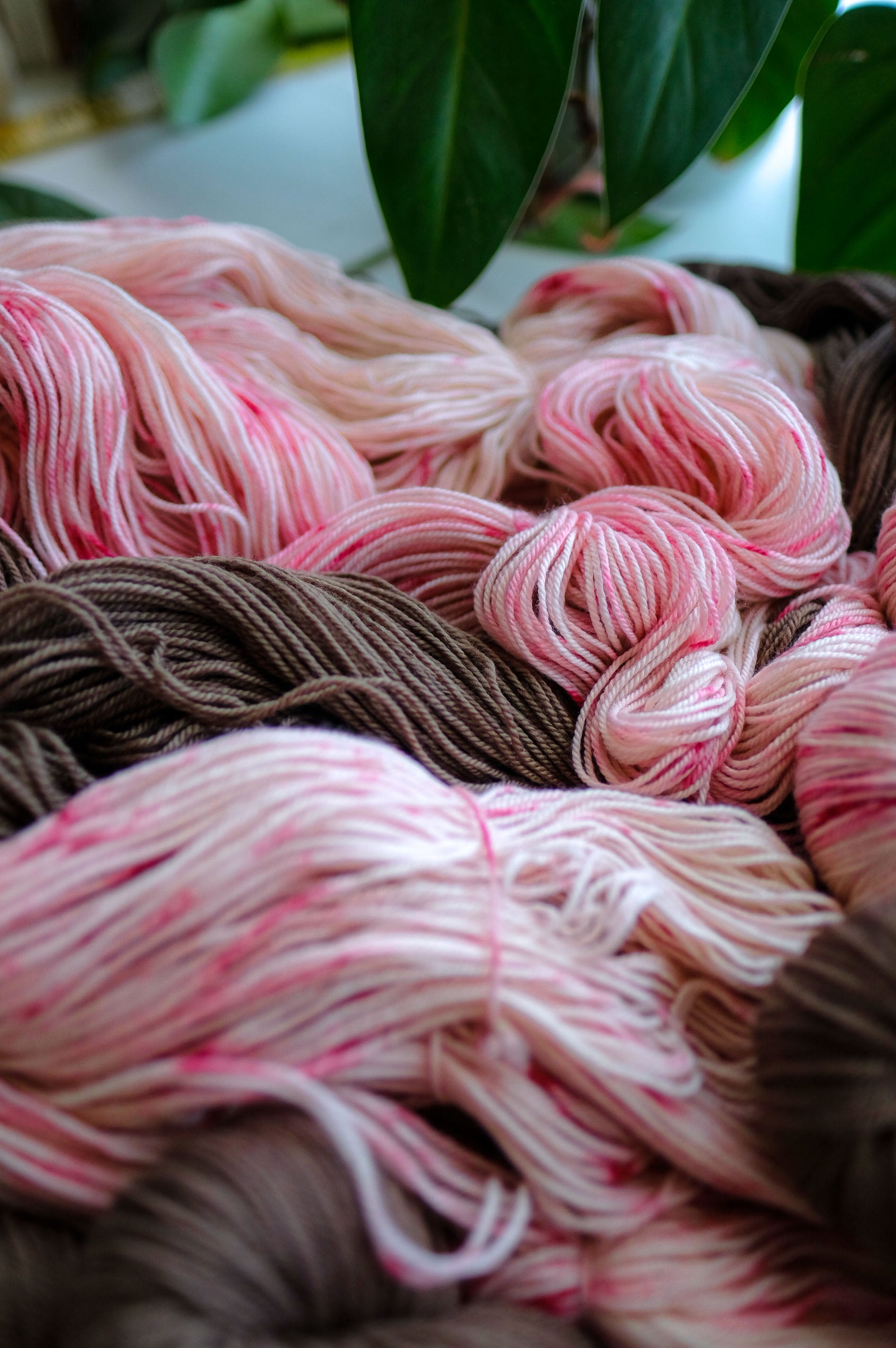 AVFKW x Jen Peck - Gingermint Shawl Bundle