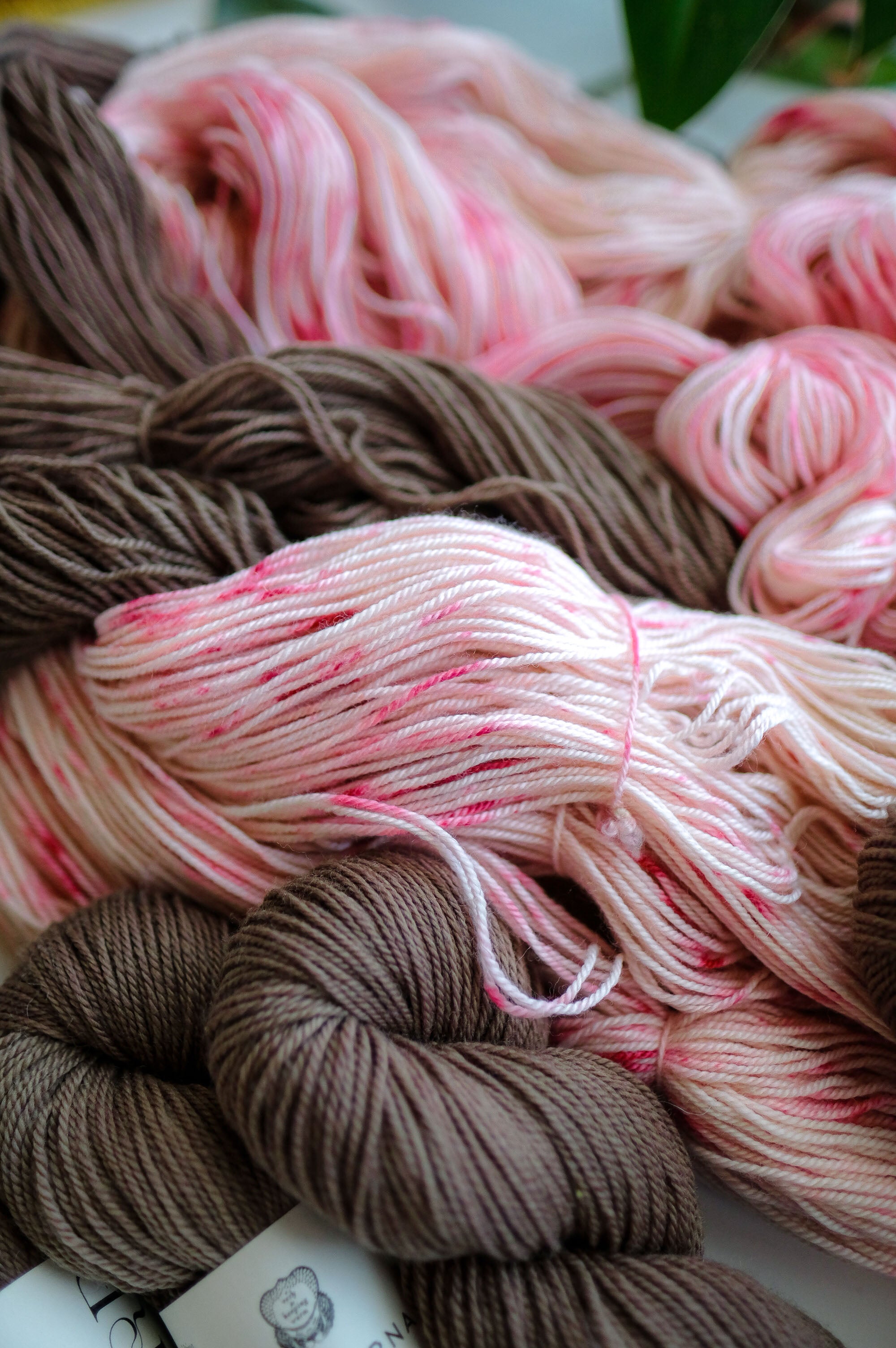 Pro-Verbial Yarn & Fiber Club