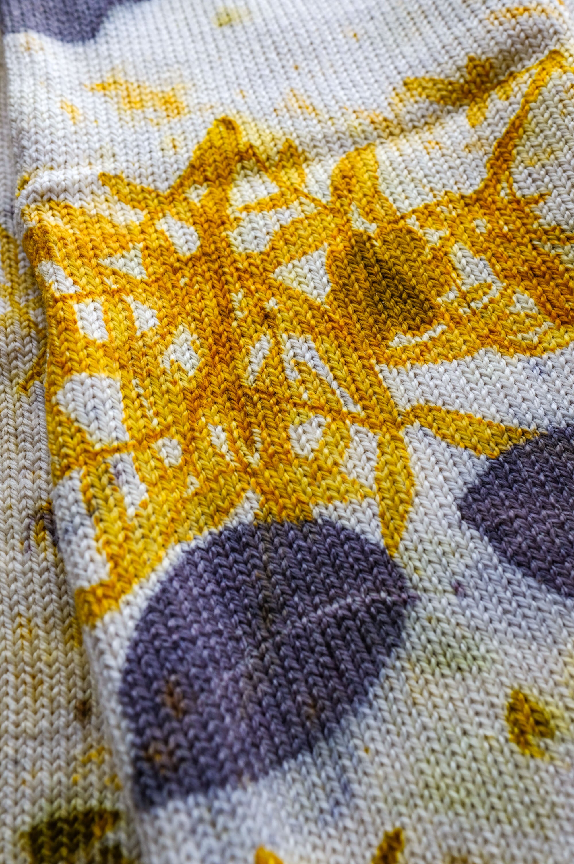 Eco-Printed Annapurna Sock Blanks