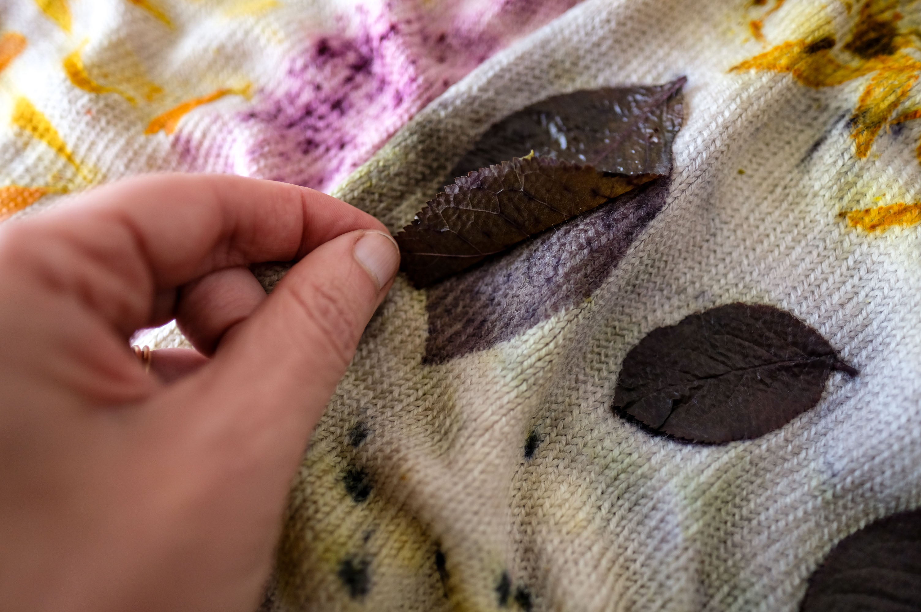 Eco-Printed Annapurna Sock Blanks