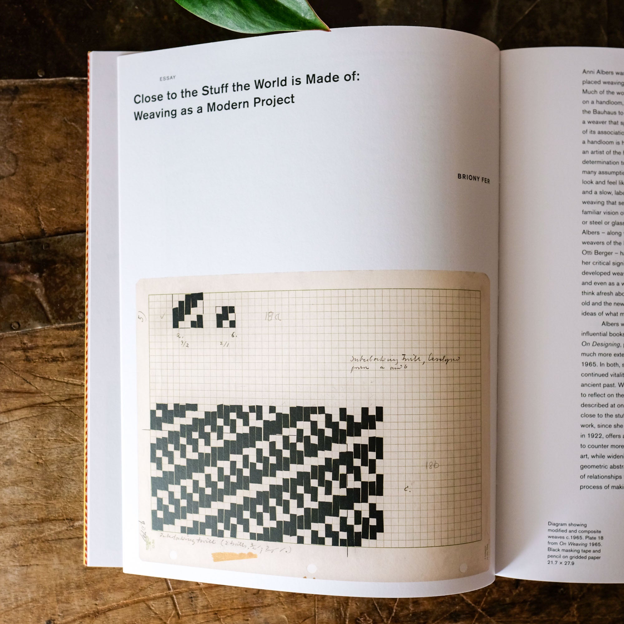 Anni Albers by Ann Coxon, Briony Fer and Maria Müller-Schareck