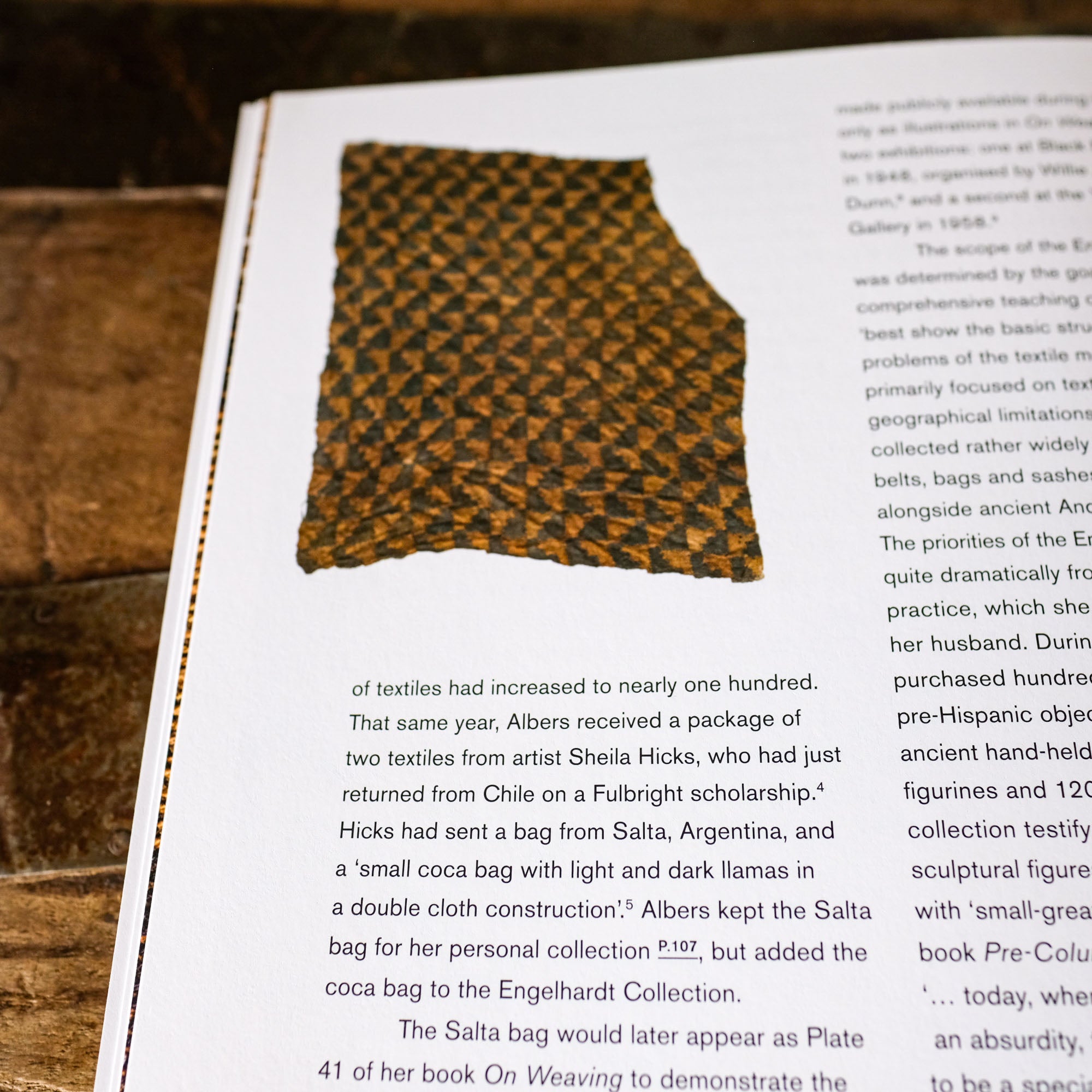 Anni Albers by Ann Coxon, Briony Fer and Maria Müller-Schareck