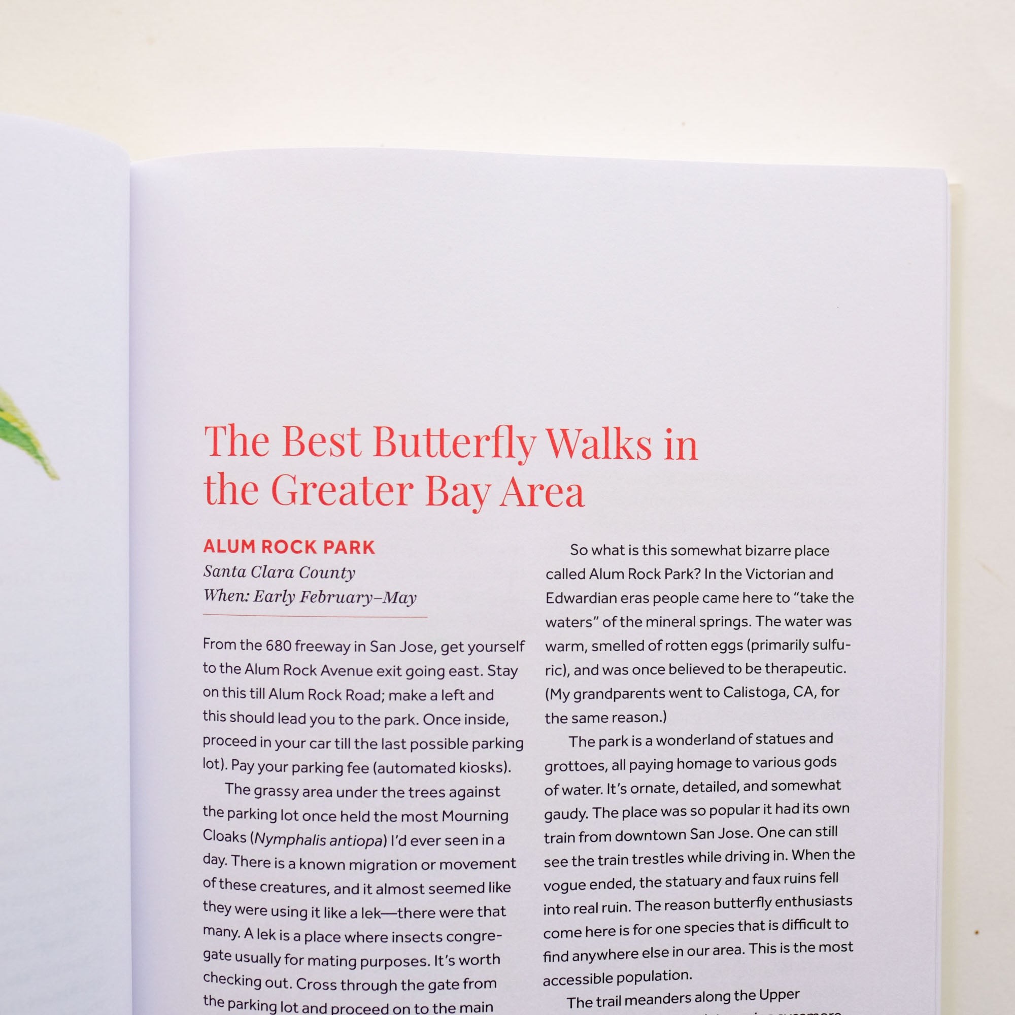 Butterflies of the Bay Area and (Slightly) Beyond: An Illustrated Guide by Liam O'Brien