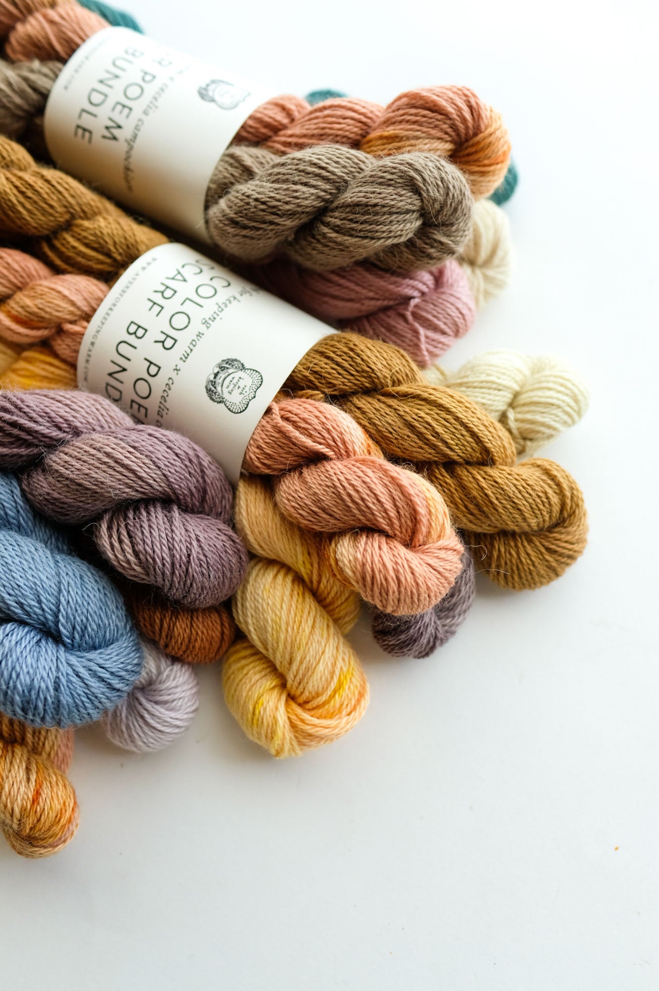 AVFKW x Cecelia Campochiaro - Color Poem Scarf Bundle