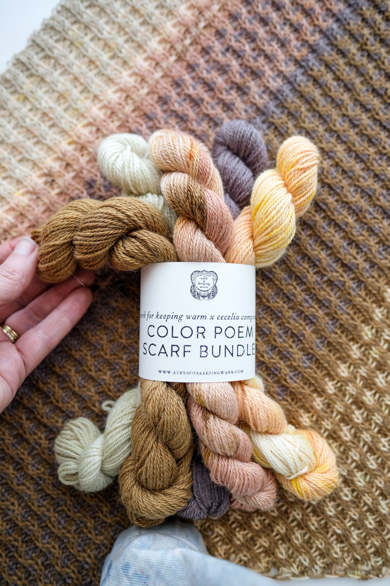 AVFKW x Cecelia Campochiaro - Color Poem Scarf Bundle