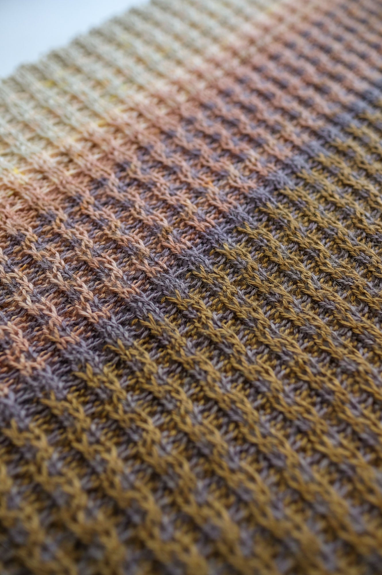 AVFKW x Cecelia Campochiaro - Color Poem Scarf Bundle