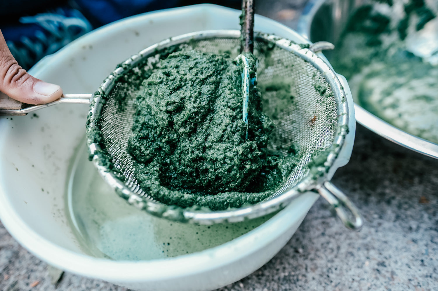 2024 Fresh Leaf Indigo: Shimmering Tussah