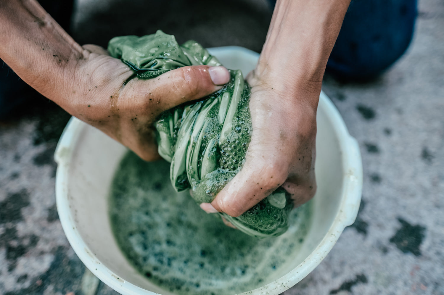 Dyeing with Freshly Harvested Indigo Leaves - Saturday, August 3rd, 2024