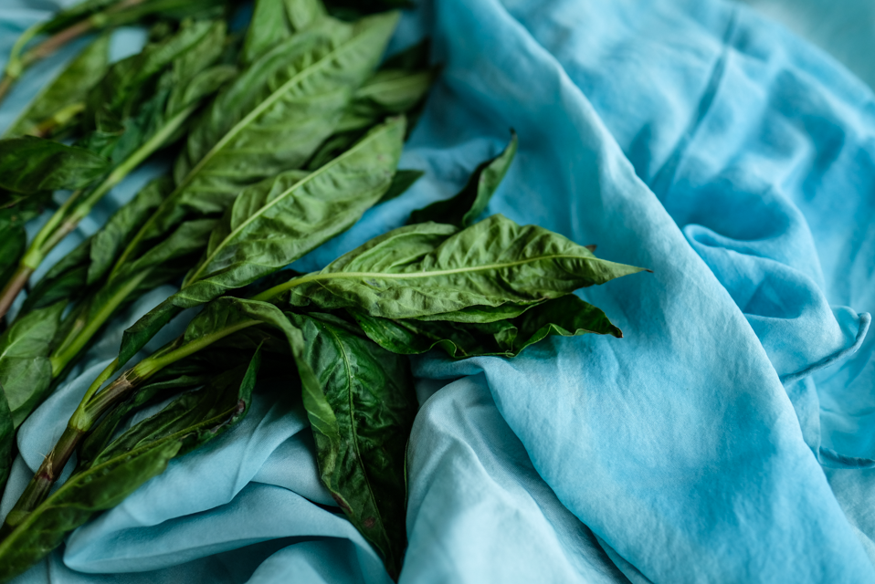 Locally-Grown Indigo-Dyed Silk Scarf