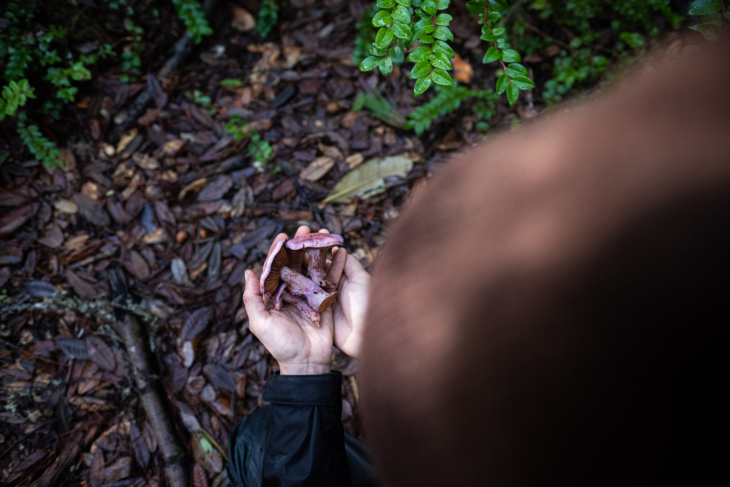 AVFKW x Cecelia Campochiaro - Color Poem Scarf Bundle