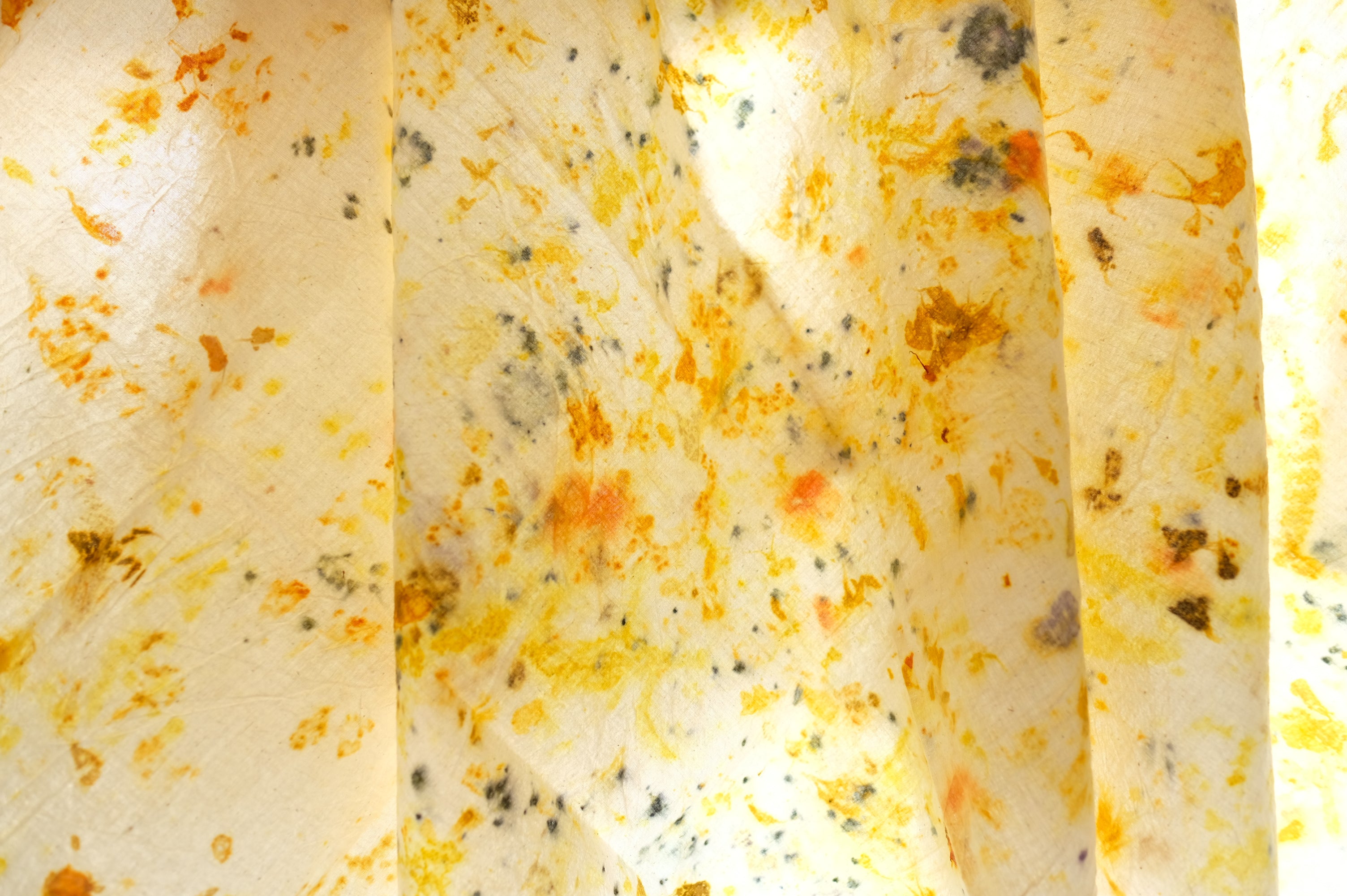 Mapping Color: Ecoprinting with Plants on Cotton and Linen Fabric - Saturday, September 28, 2024