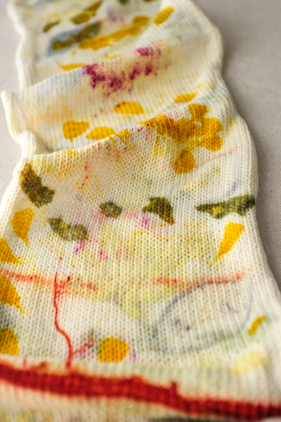 Ecoprinting a Sock Blank with Plants - Friday, March 22 & Saturday, March 23