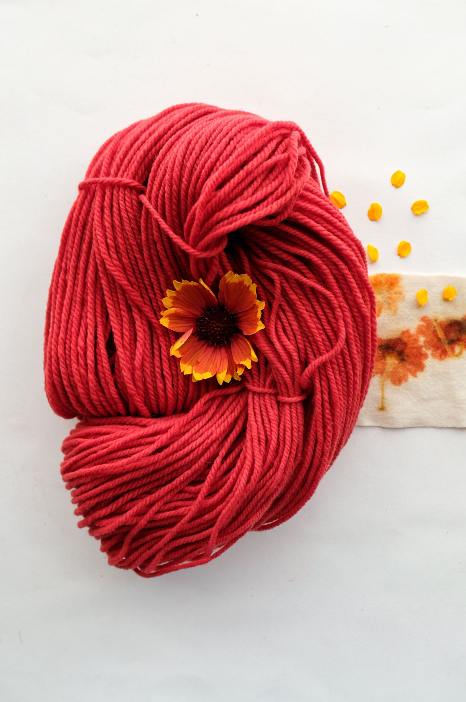 Caliente Naturally Dyed Red Yarn Everyday by Bread & Butter - unskeined circular