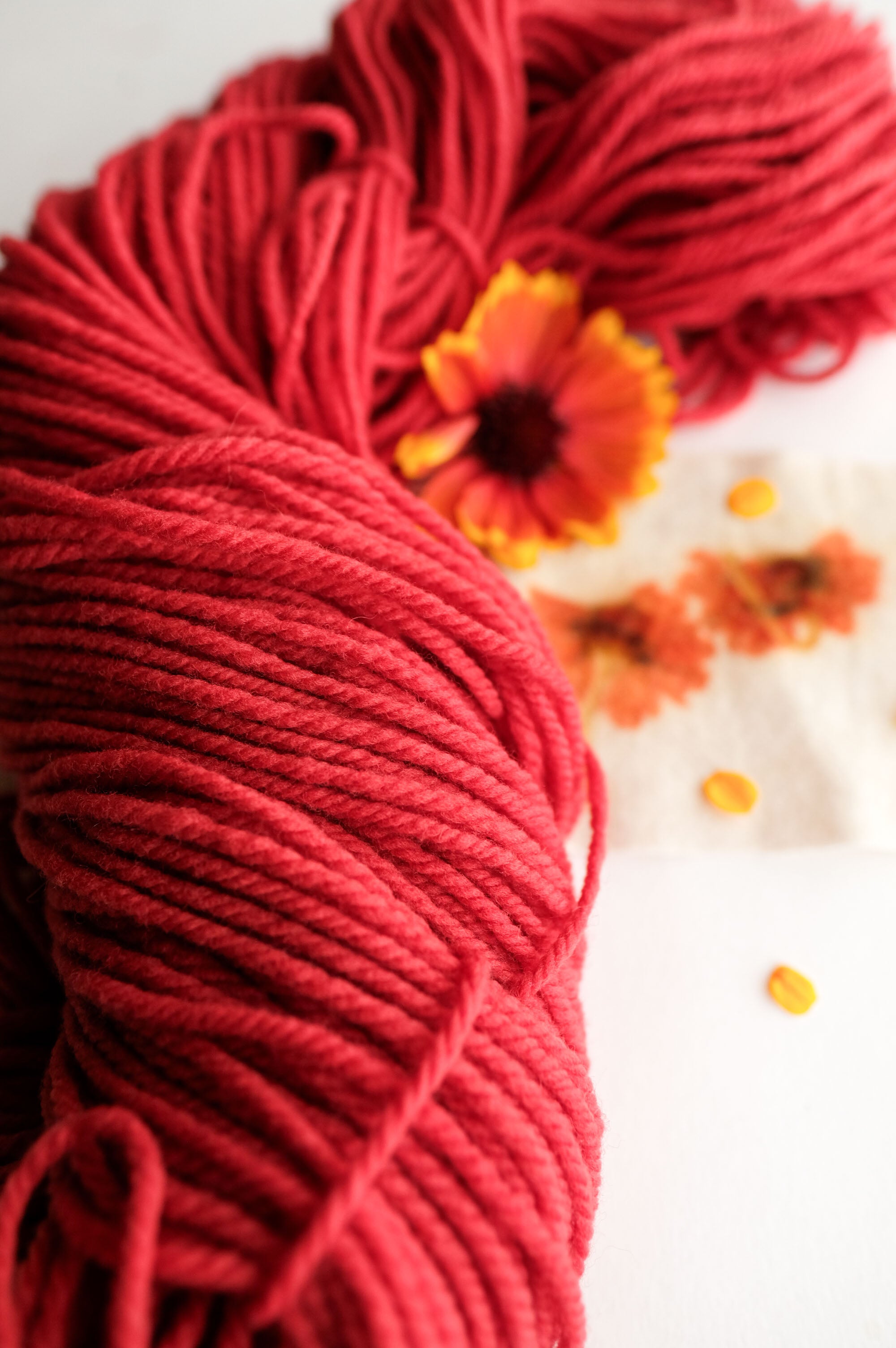 Caliente Naturally Dyed Red Yarn Everyday by Bread & Butter - skein undone showing twist