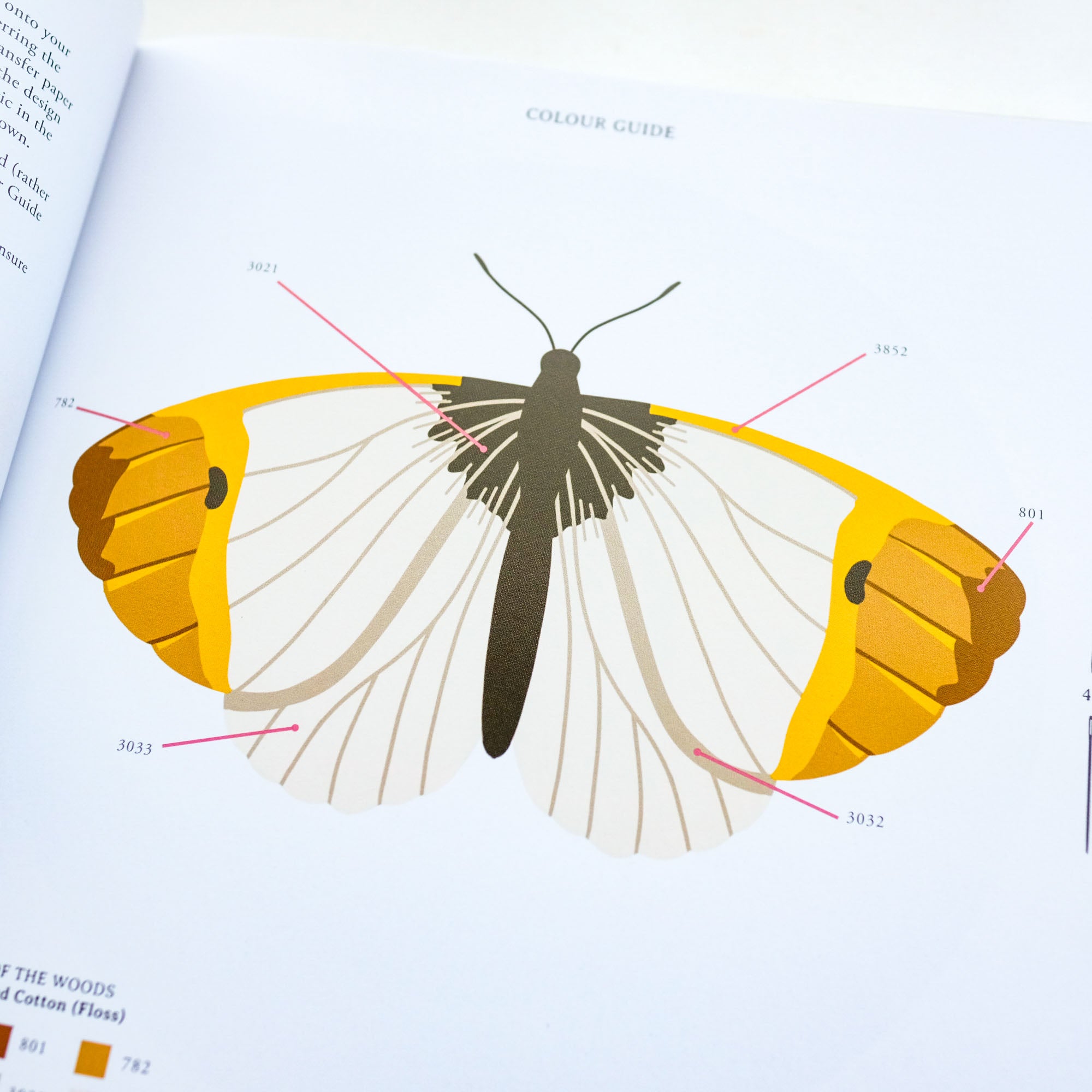 Paint with Thread: In the Garden: A Step-by-Step Guide to Embroidery by Emillie Ferris