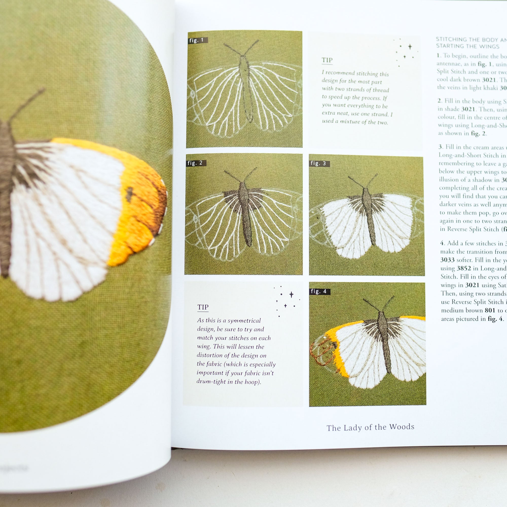 Paint with Thread: In the Garden: A Step-by-Step Guide to Embroidery by Emillie Ferris