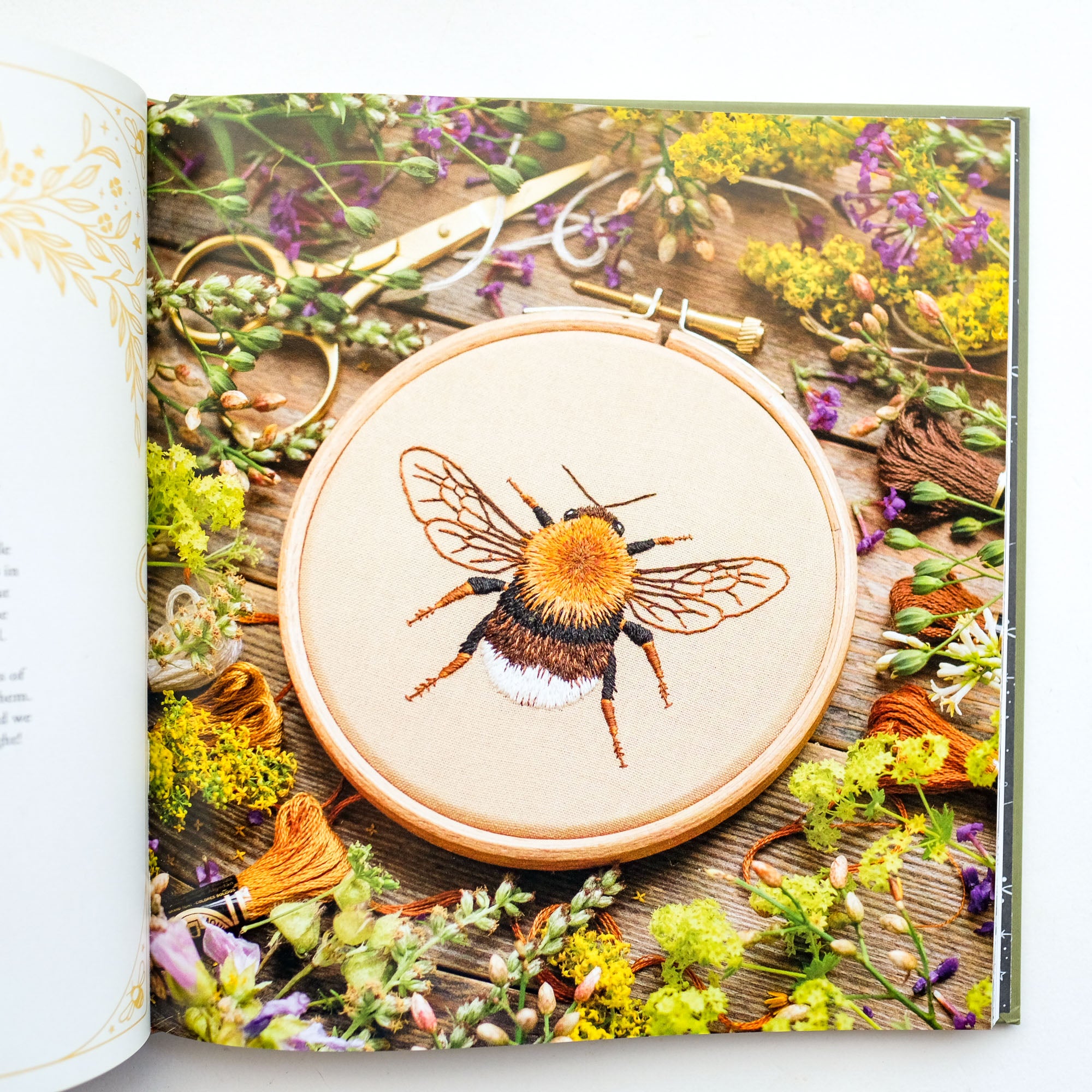 Paint with Thread: In the Garden: A Step-by-Step Guide to Embroidery by Emillie Ferris