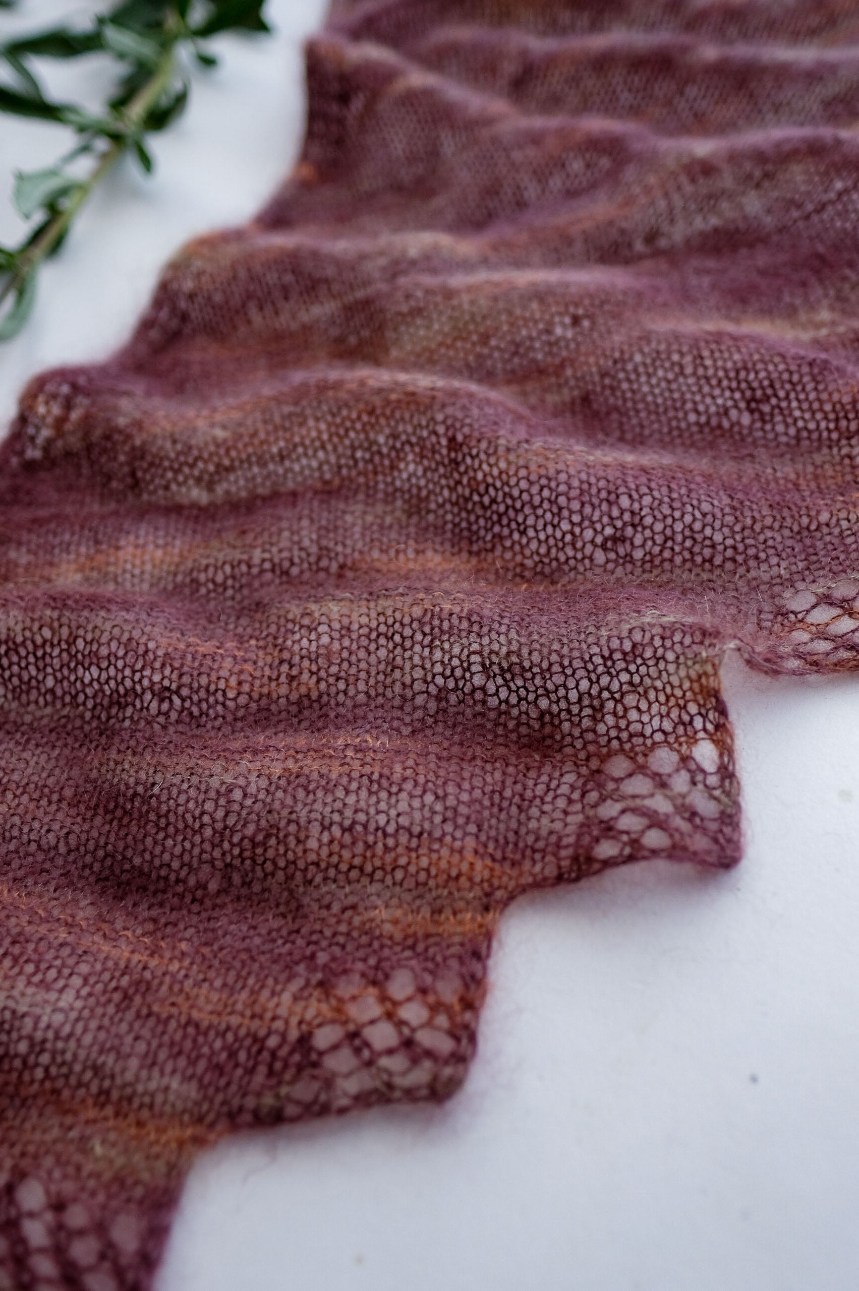 2024 Verb Anniversary Color: Abundant Harvest, Deepening Shadows