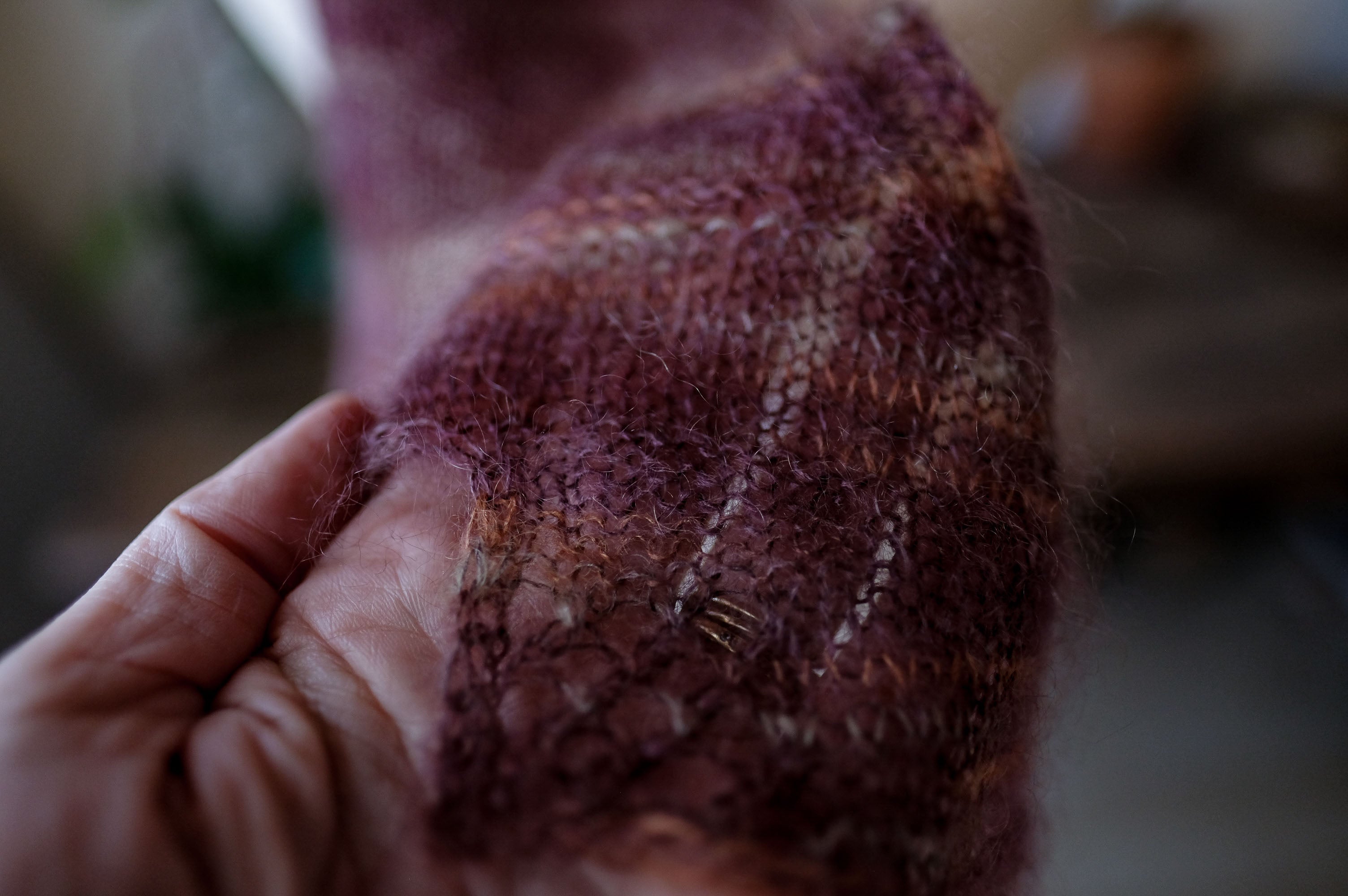 2024 Verb Anniversary Color: Abundant Harvest, Deepening Shadows