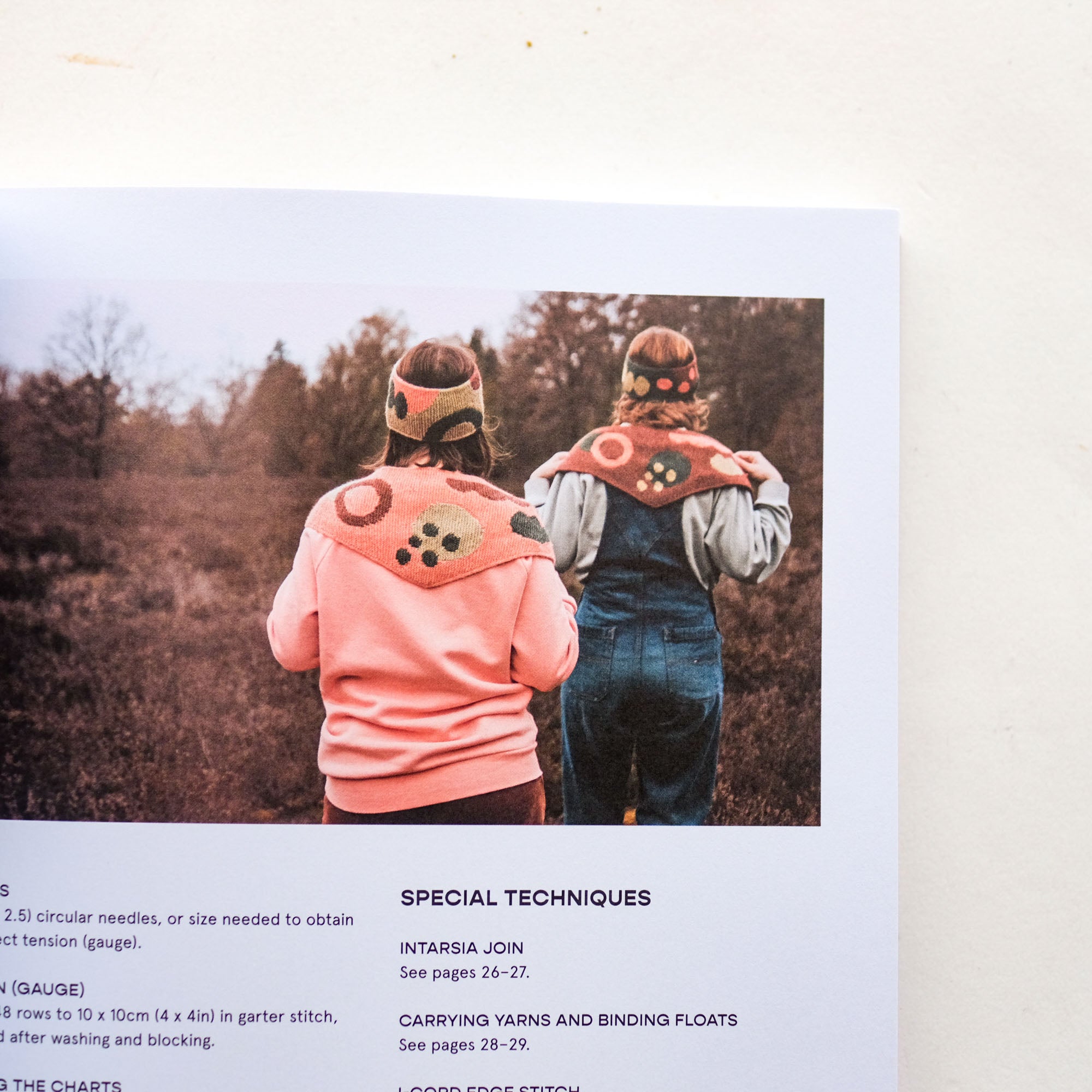 Intarsia Knits by Anna Husemann