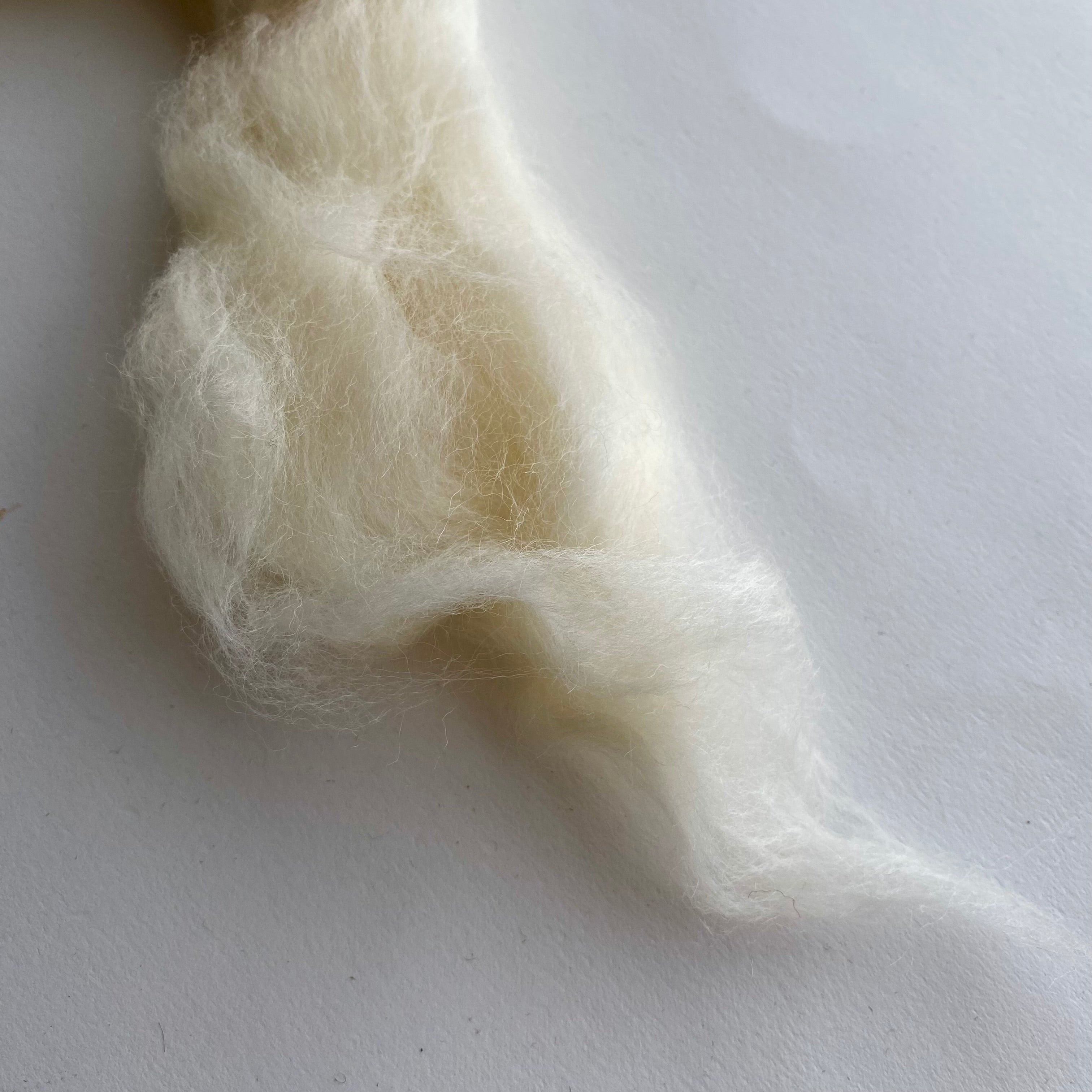 Natural, Undyed Fibers