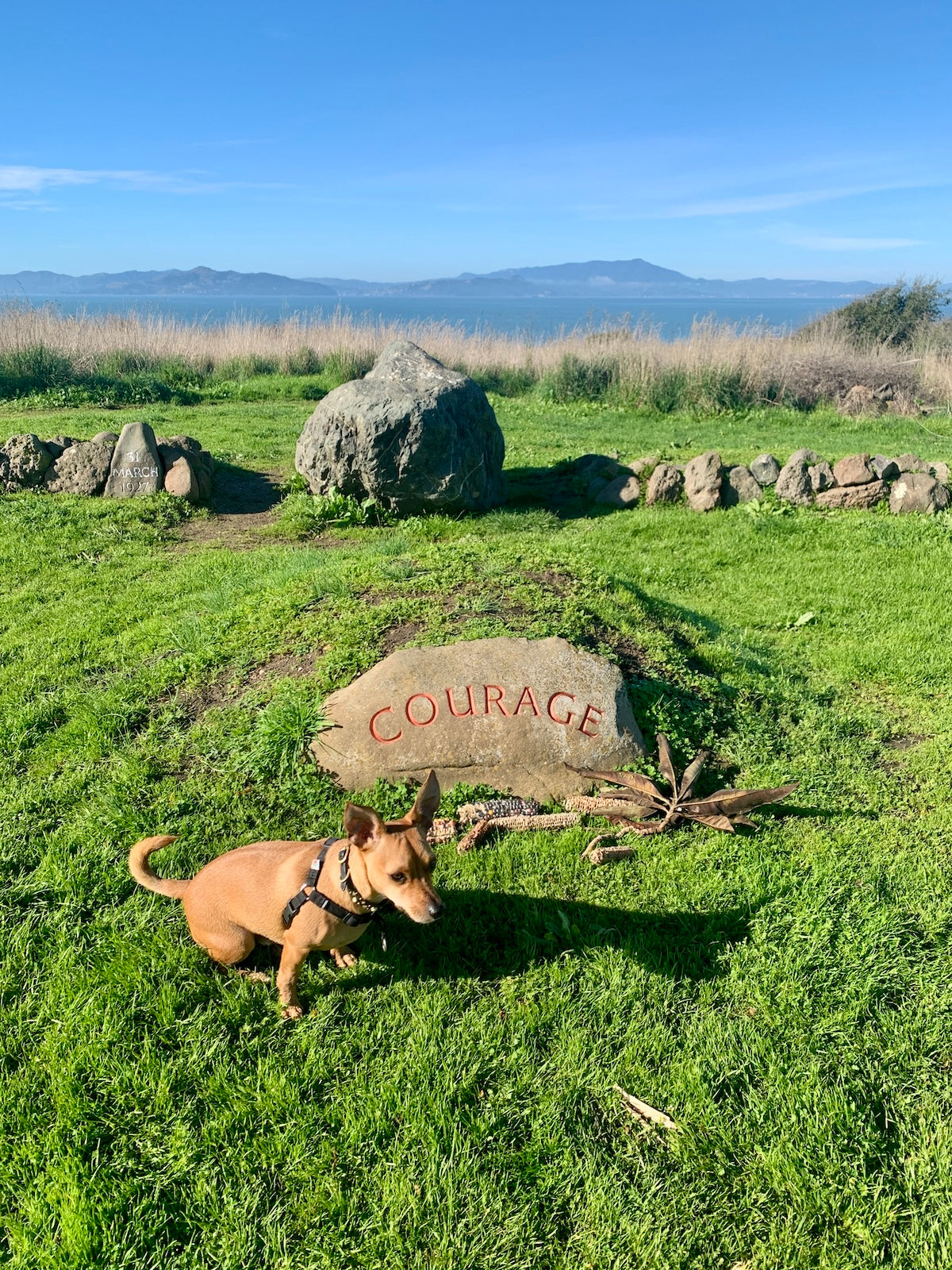 Jasper at the Cesar Chavez memorial at the Berkeley Marina next to 'COURAGE' sign on a rock