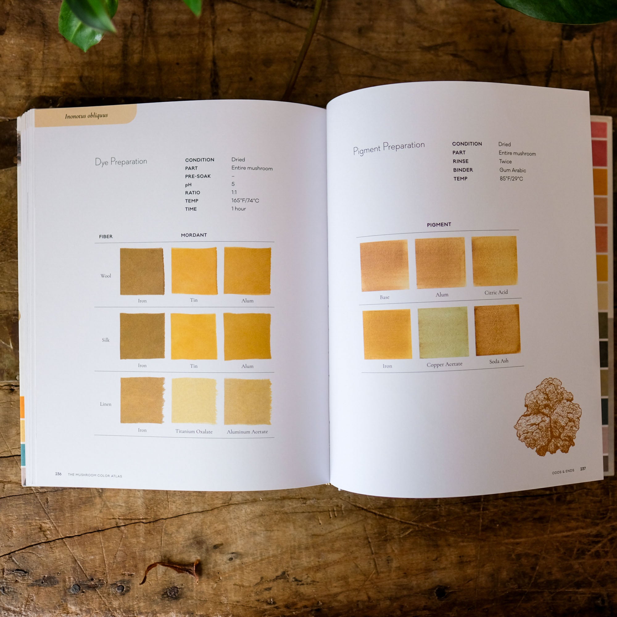 The Mushroom Color Atlas: A Guide to Dyes and Pigments Made fom Fungi by Julie Beeler