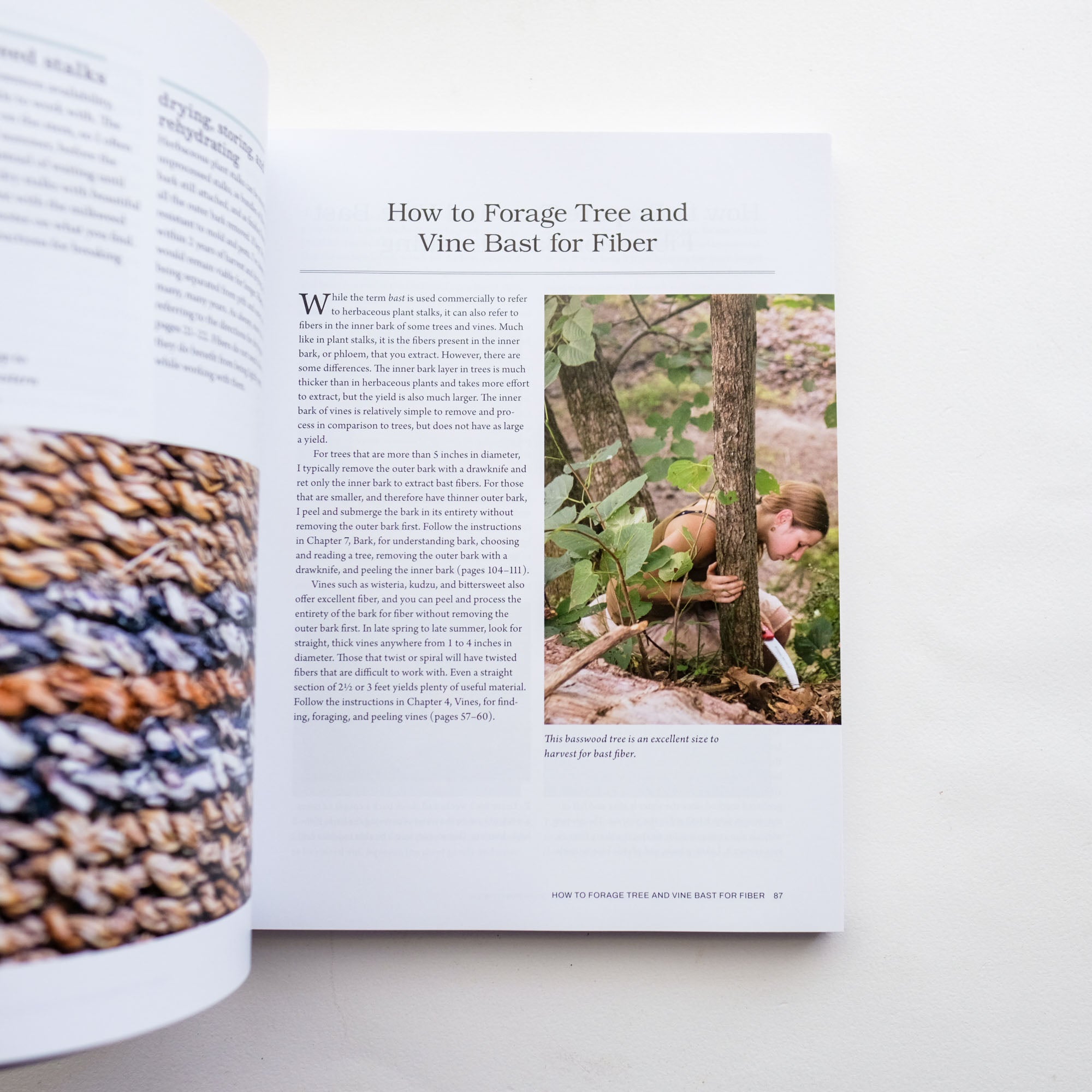 Weaving Wild Baskets by Katie Grove