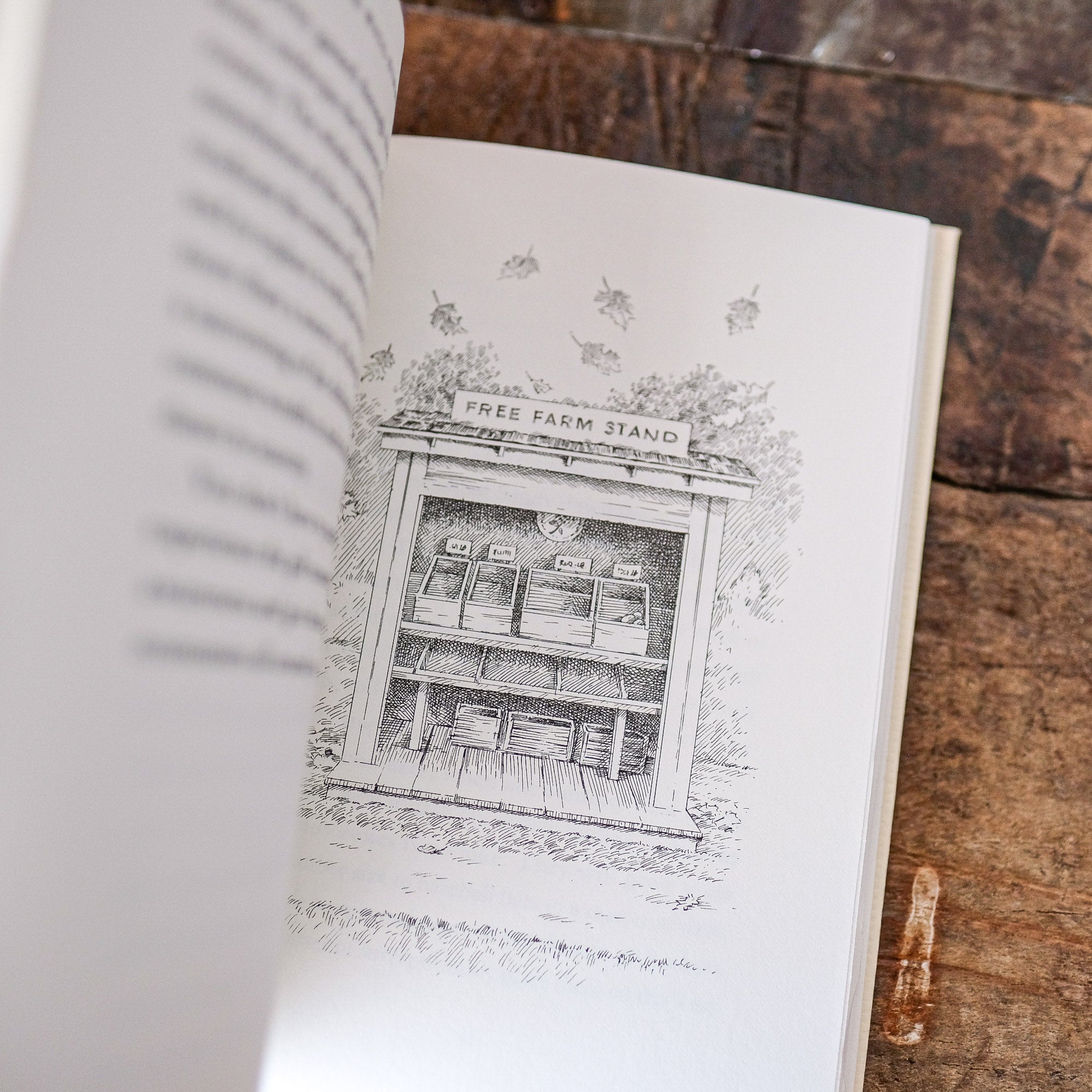 The Serviceberry: Abundance and Reciprocity in the Natural World by Robin Wall Kimmerer