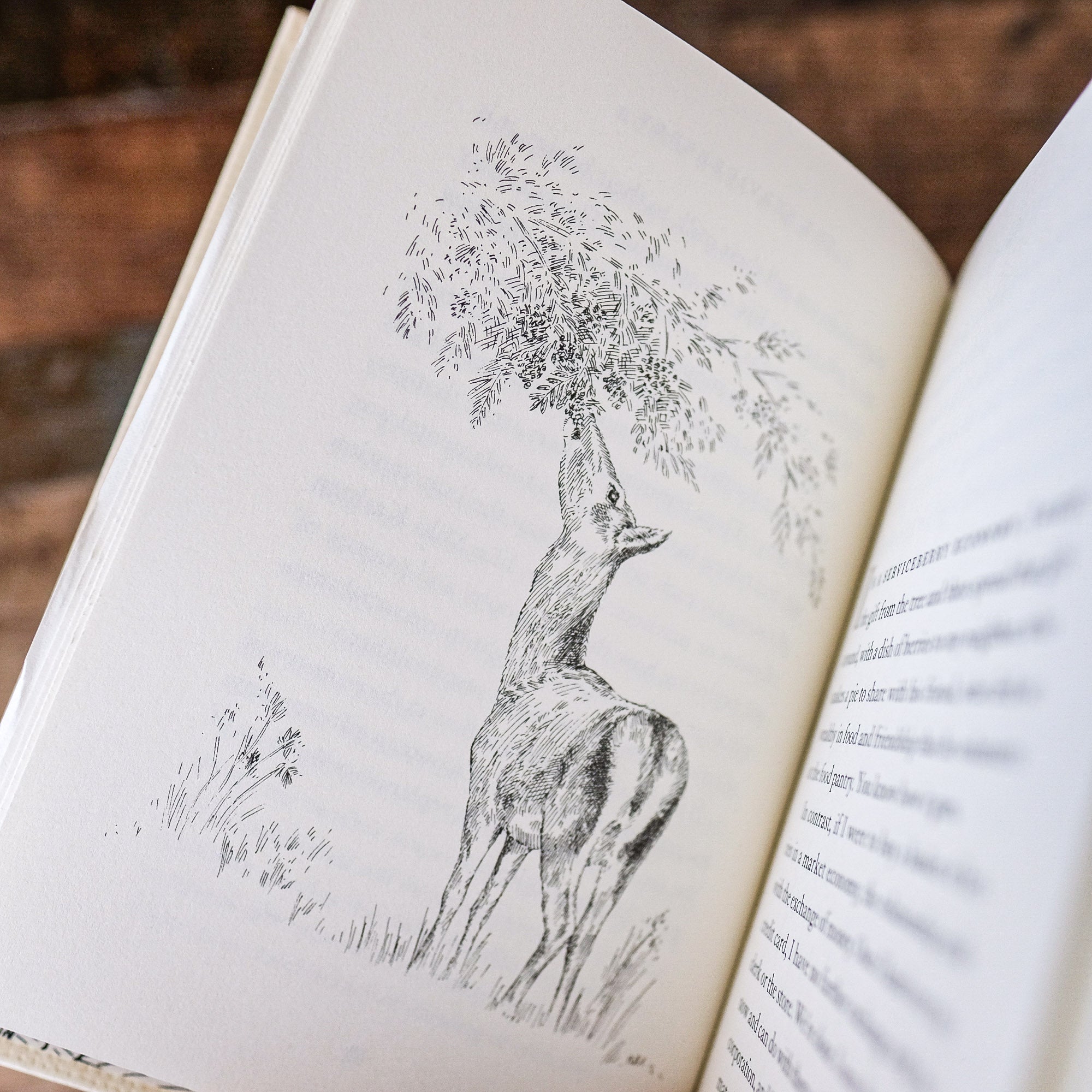 The Serviceberry: Abundance and Reciprocity in the Natural World by Robin Wall Kimmerer