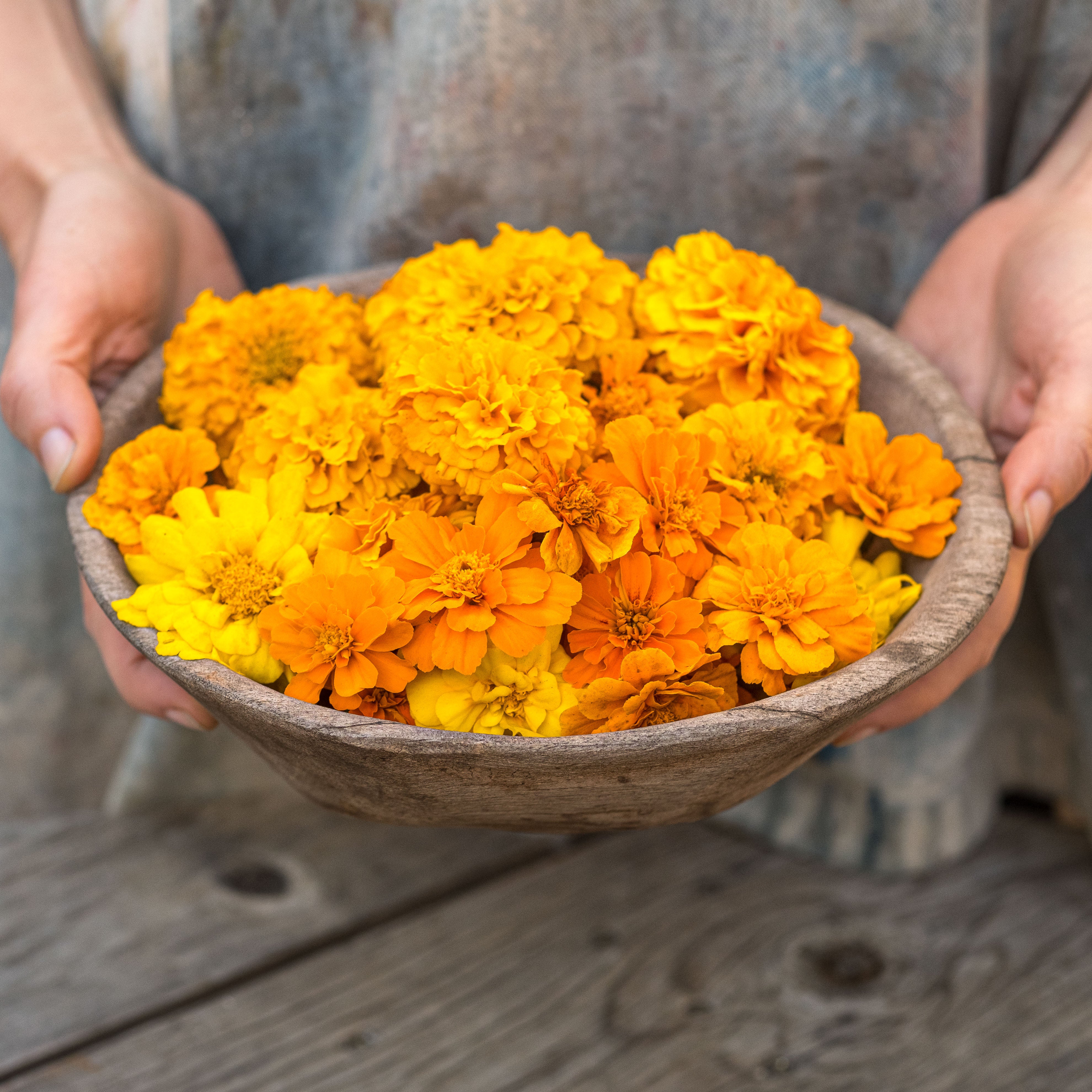 Mapping Color: Ecoprinting with Plants on Cotton and Linen Fabric - Saturday, September 28, 2024