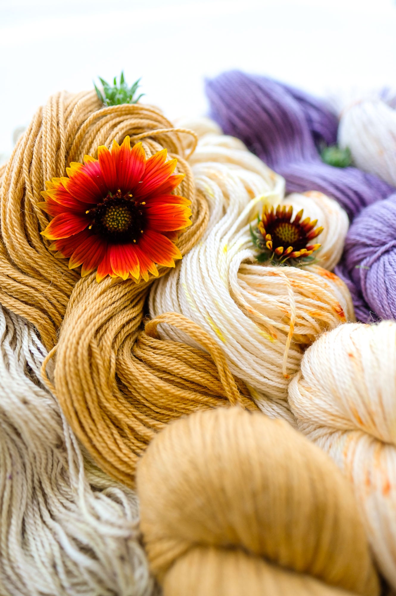 2026 AVFKW x Romi Hill Mystery Shawl Knit-a-Long Kit - PREORDER