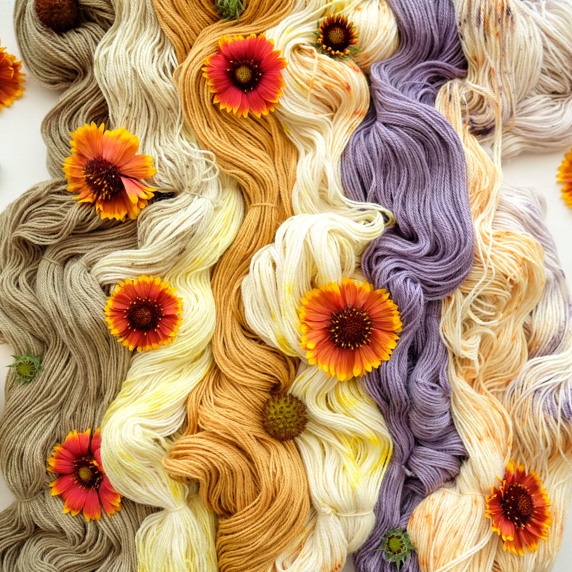 2026 AVFKW x Romi Hill Mystery Shawl Knit-a-Long Kit - PREORDER