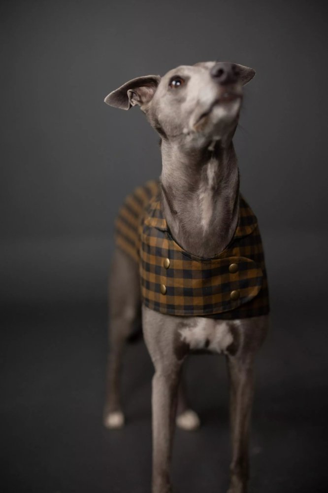 Barka Dog Coat Pattern
