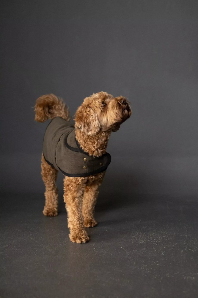 Barka Dog Coat Pattern