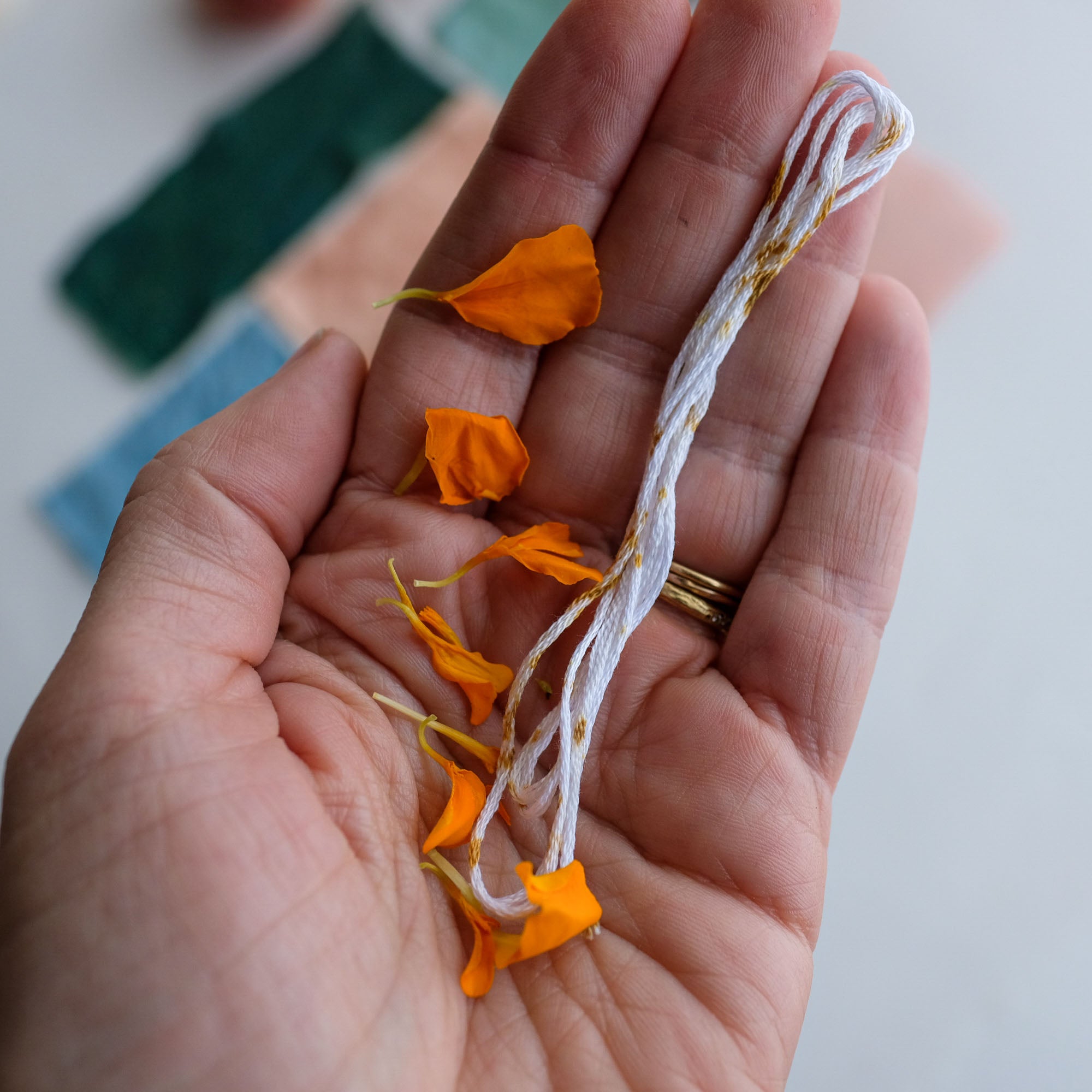 2024 Summer Solstice Special Color Fabric Bundle: Jubilant