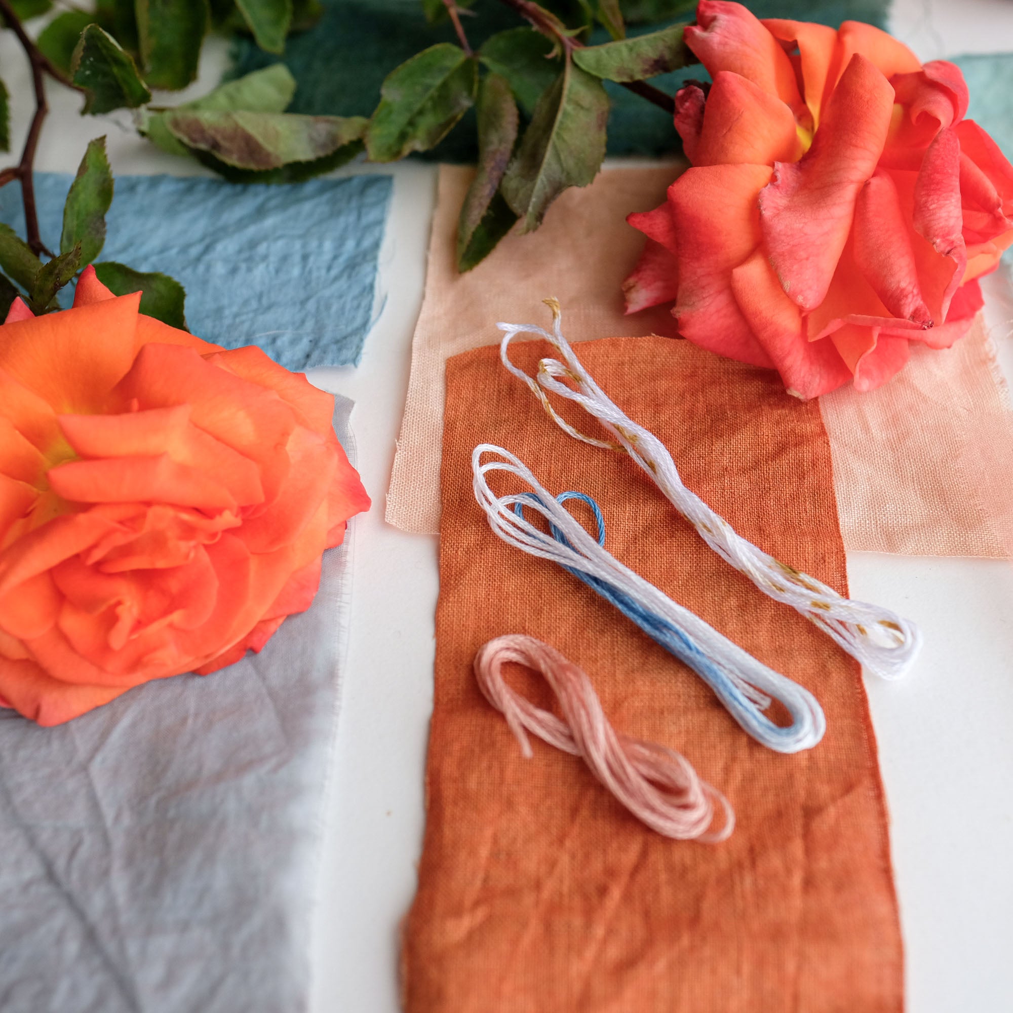 2024 Summer Solstice Special Color Fabric Bundle: Jubilant