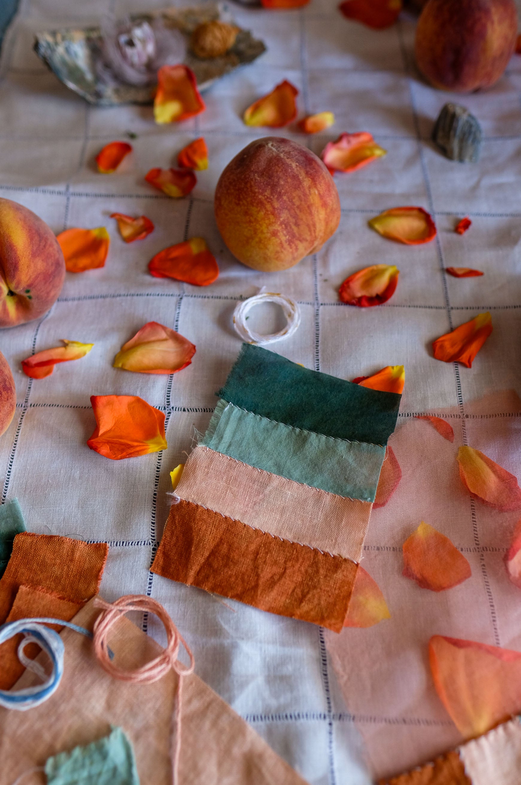 2024 Summer Solstice Special Color Fabric Bundle: Jubilant