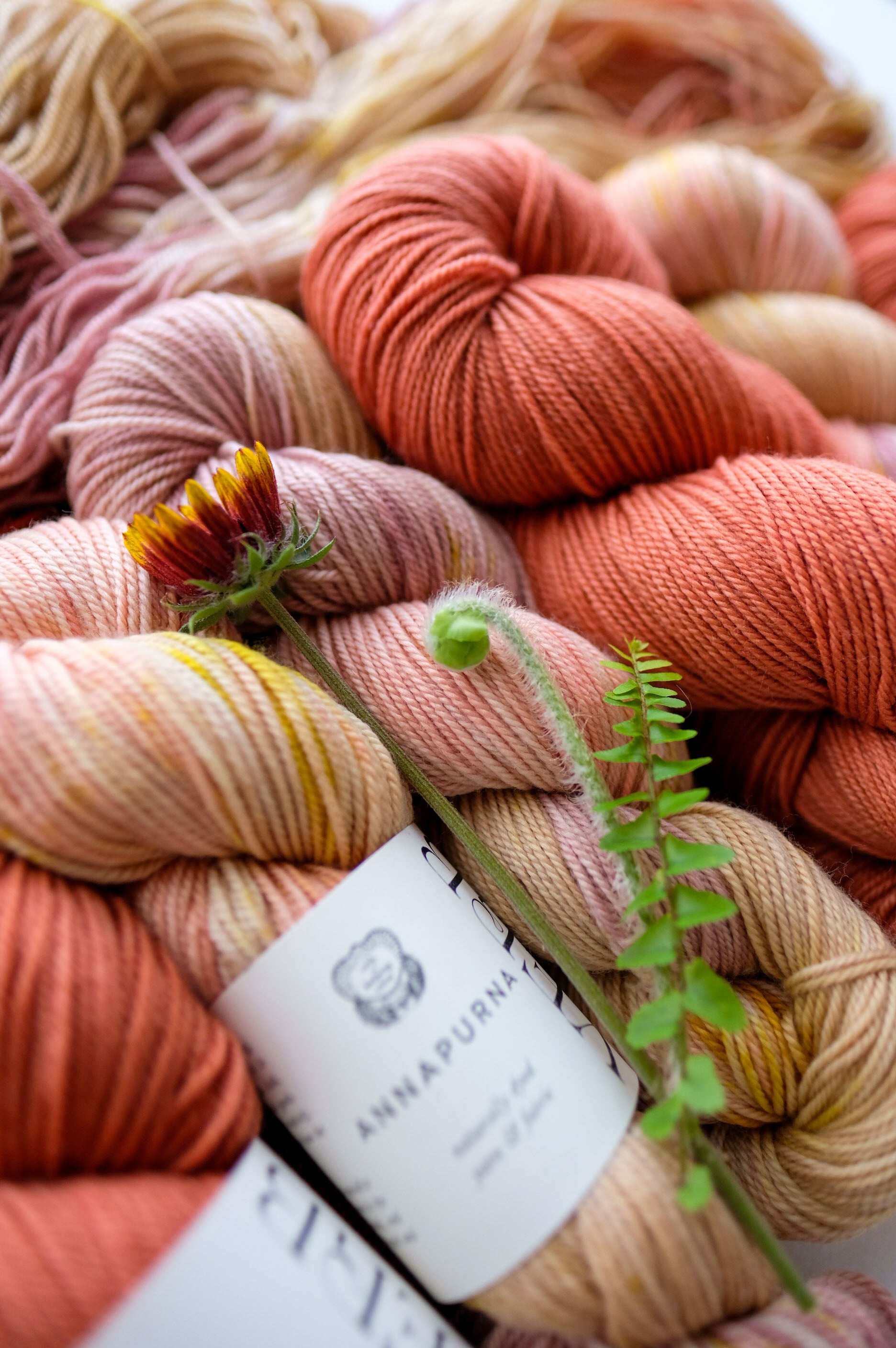 AVFKW x Susanne Sommer - Dottie Shawl Bundle