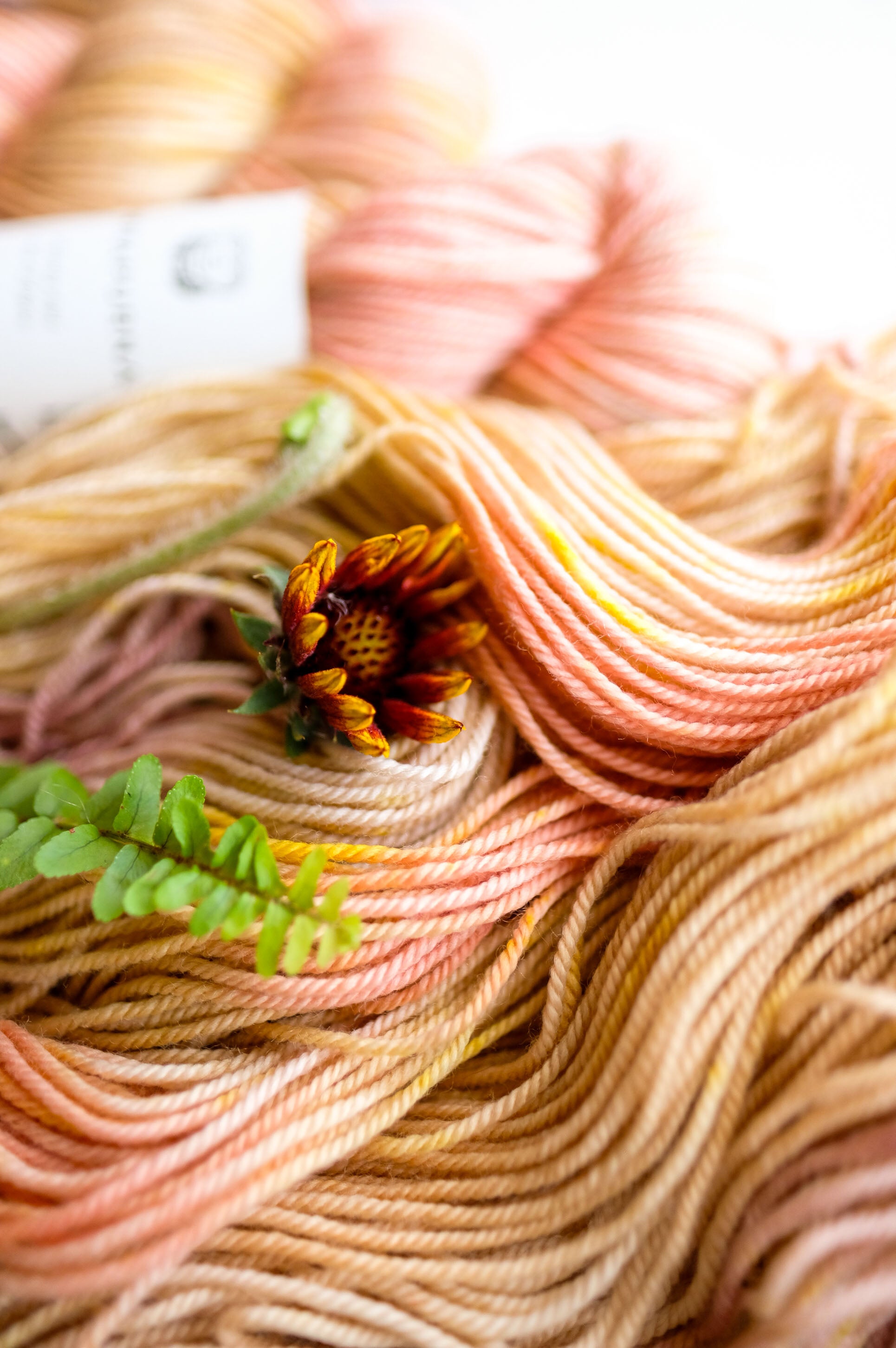 AVFKW x Susanne Sommer - Dottie Shawl Bundle