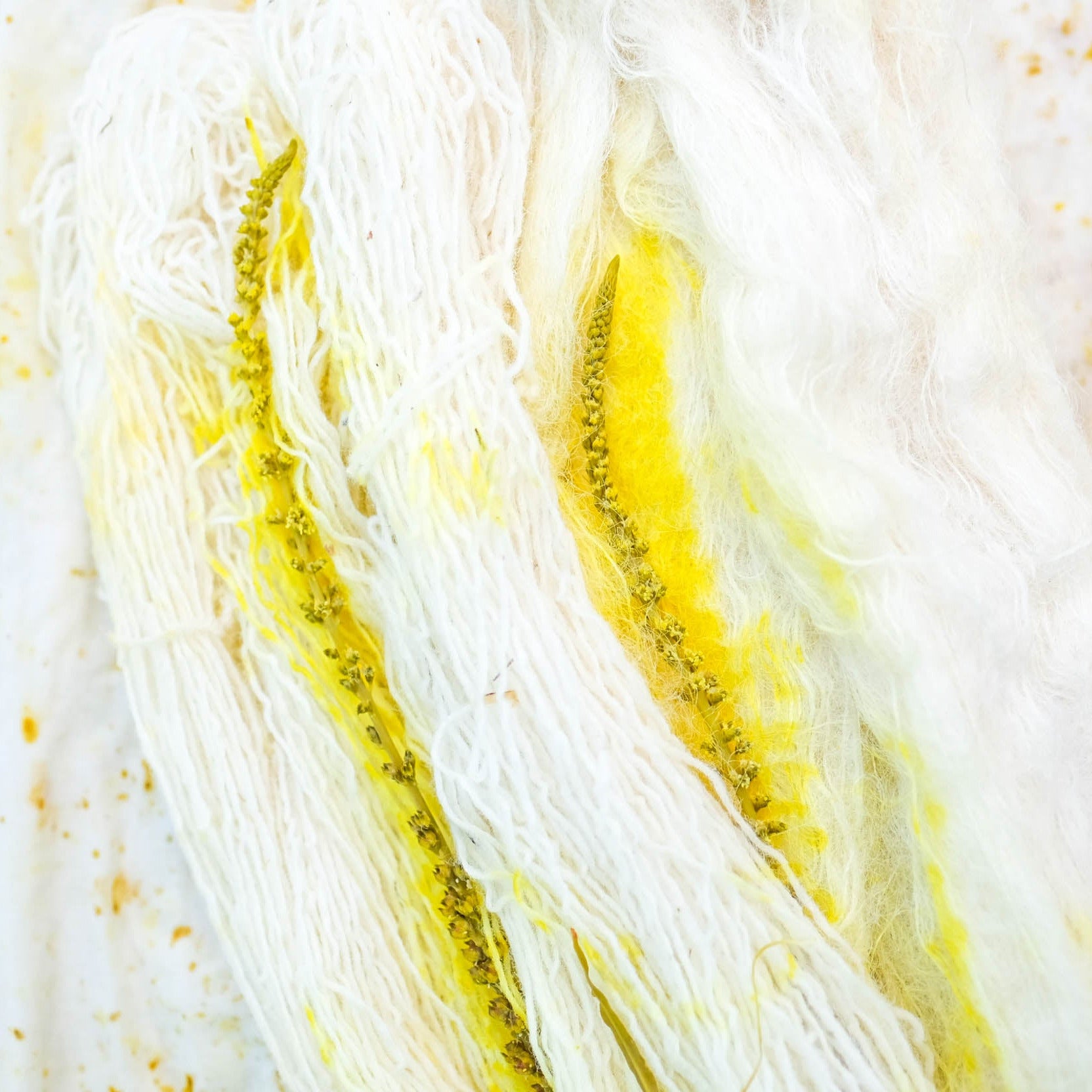 Summer Solstice 2023: Fennel Fronds and the Beat of the Butterfly's Wings
