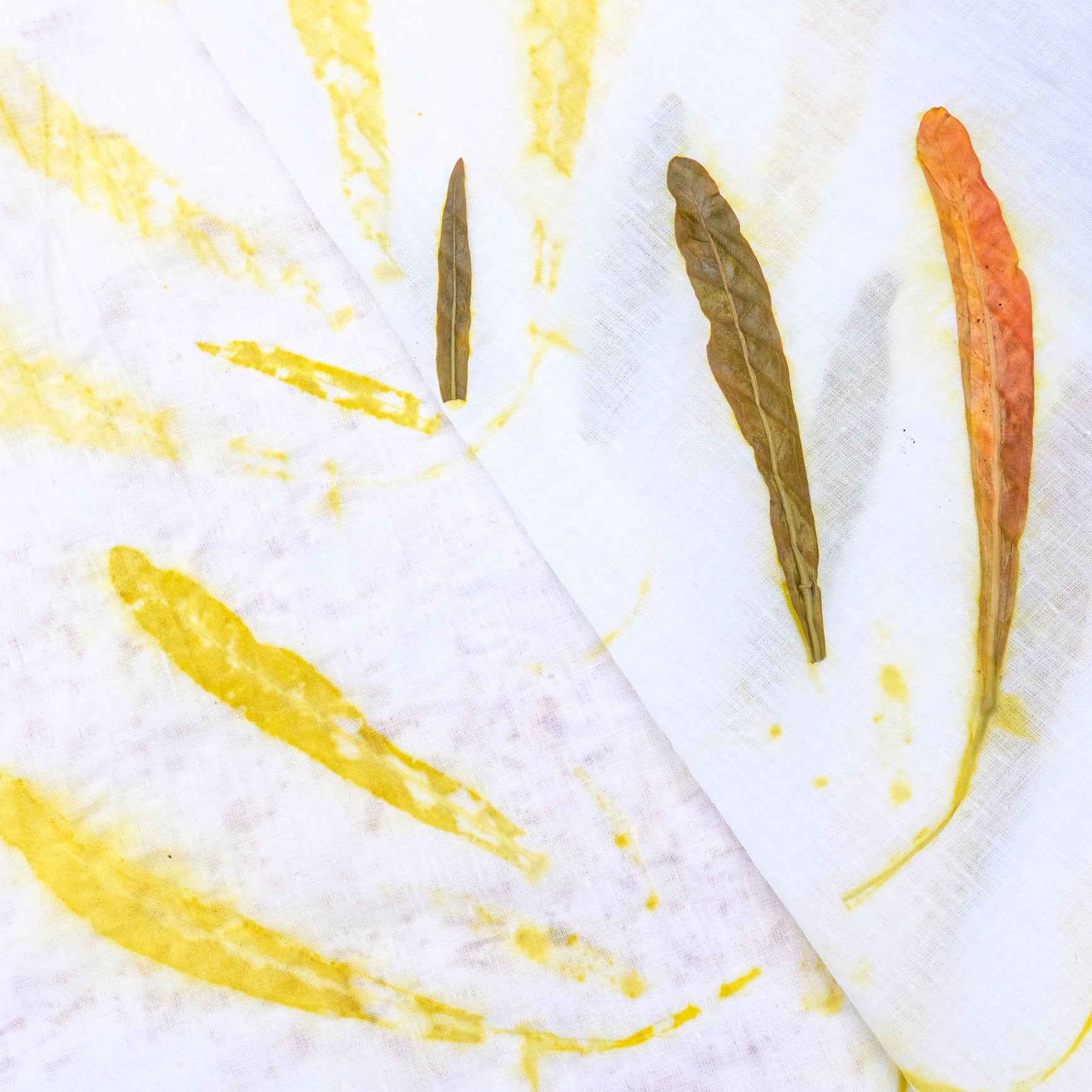 Mapping Color: Ecoprinting with Plants on Cotton and Linen Fabric - Saturday, September 28, 2024