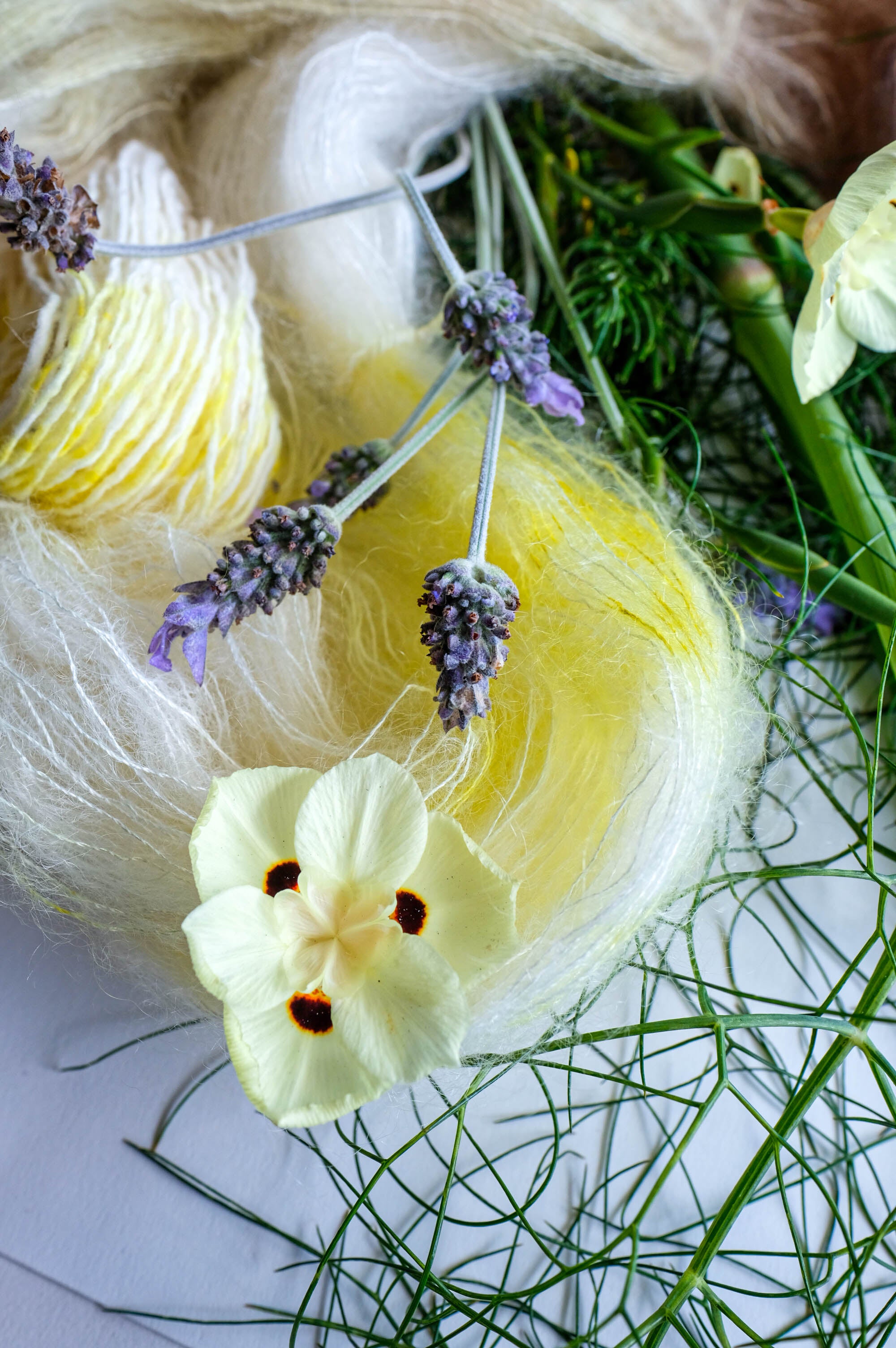 2023 Summer Solstice Special Color: Fennel Fronds and the Beat of the Butterfly's Wings