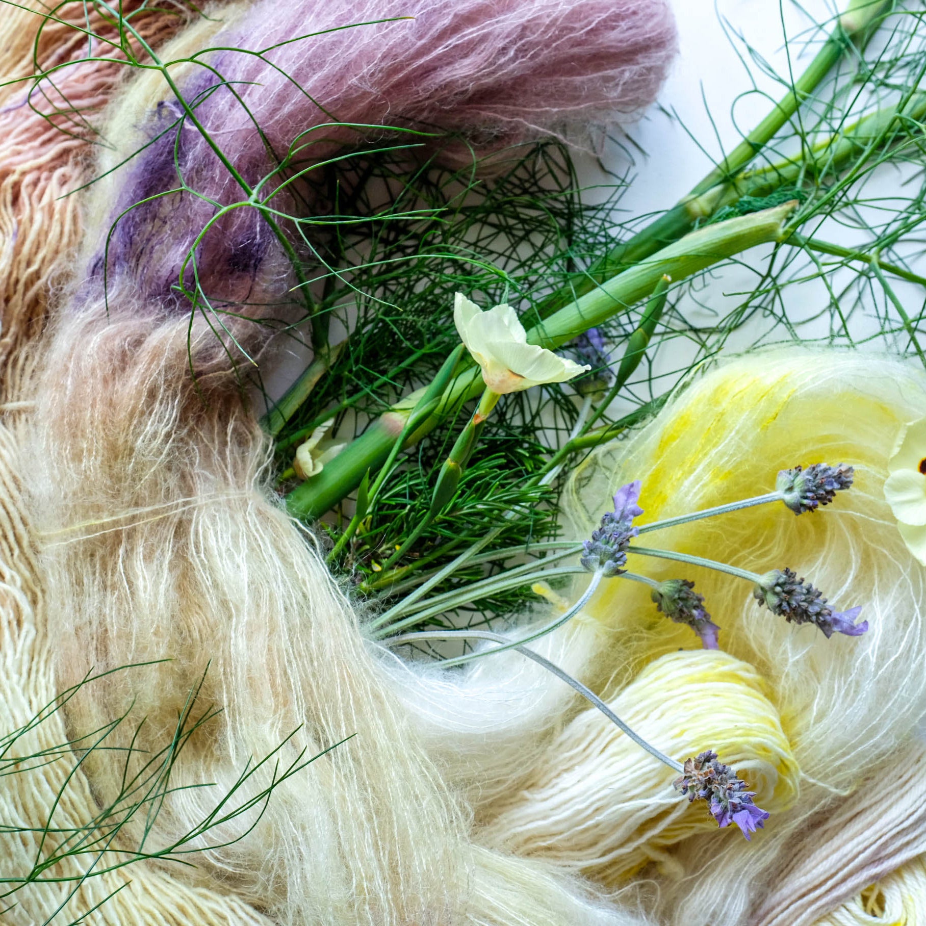 2023 Summer Solstice Special Color: Fennel Fronds and the Beat of the Butterfly's Wings