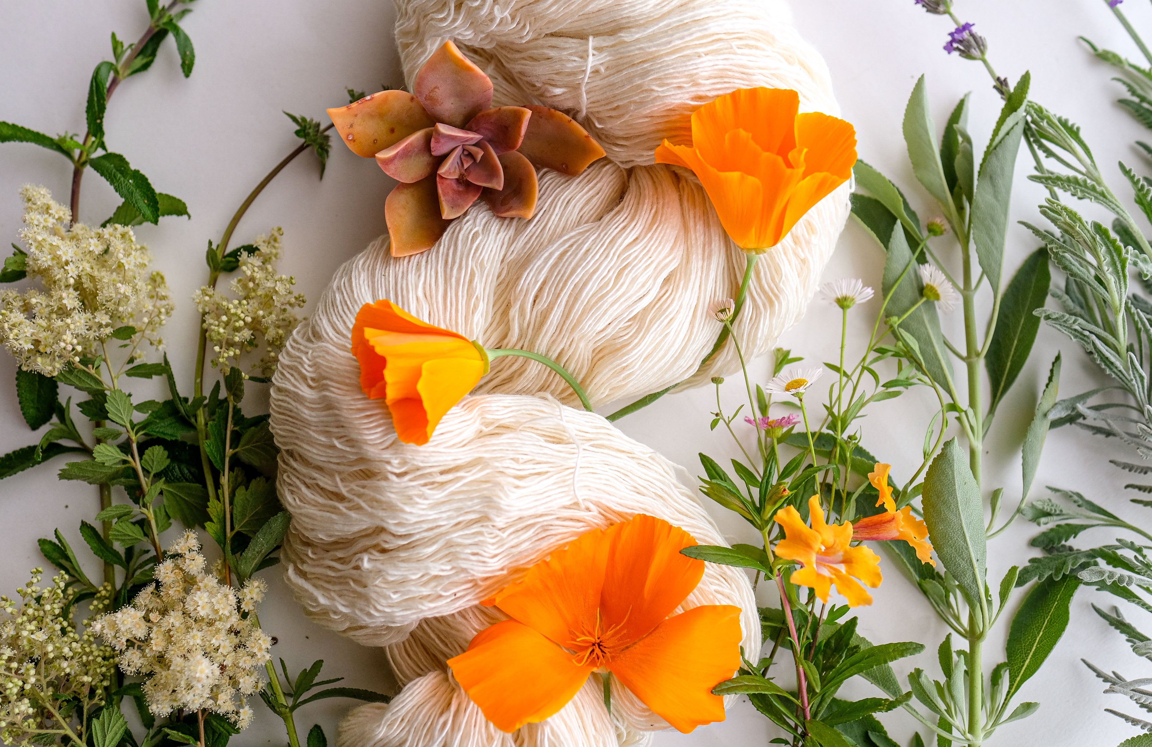 AVFKW x Ksenia Naidyon 2025 Summer Solstice Knitting Kit - PREORDER