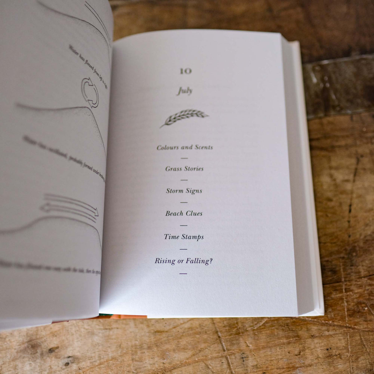 The Hidden Seasons: A Calendar of Nature's Clues by Tristan Gooley